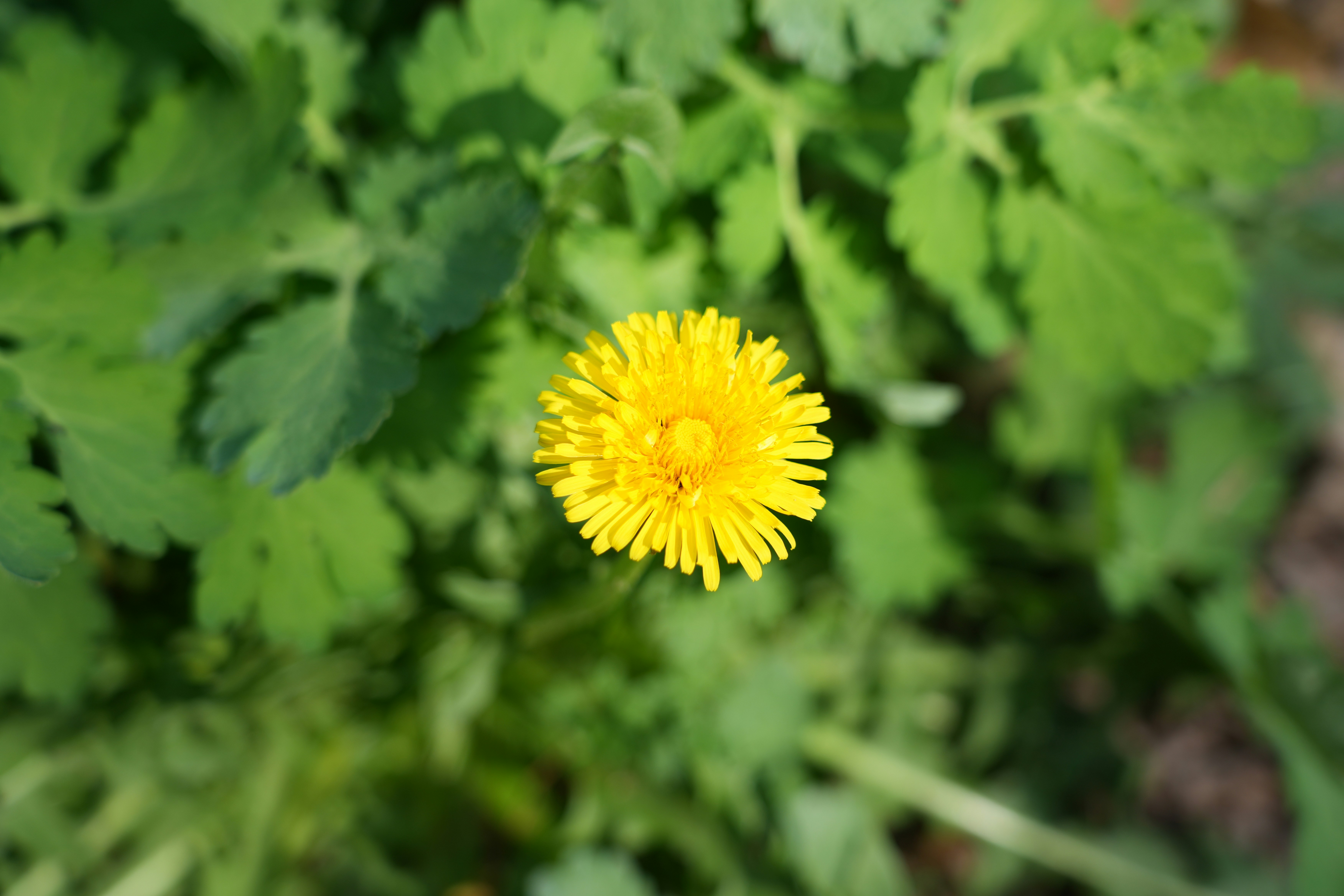 Photo by antjewinkler