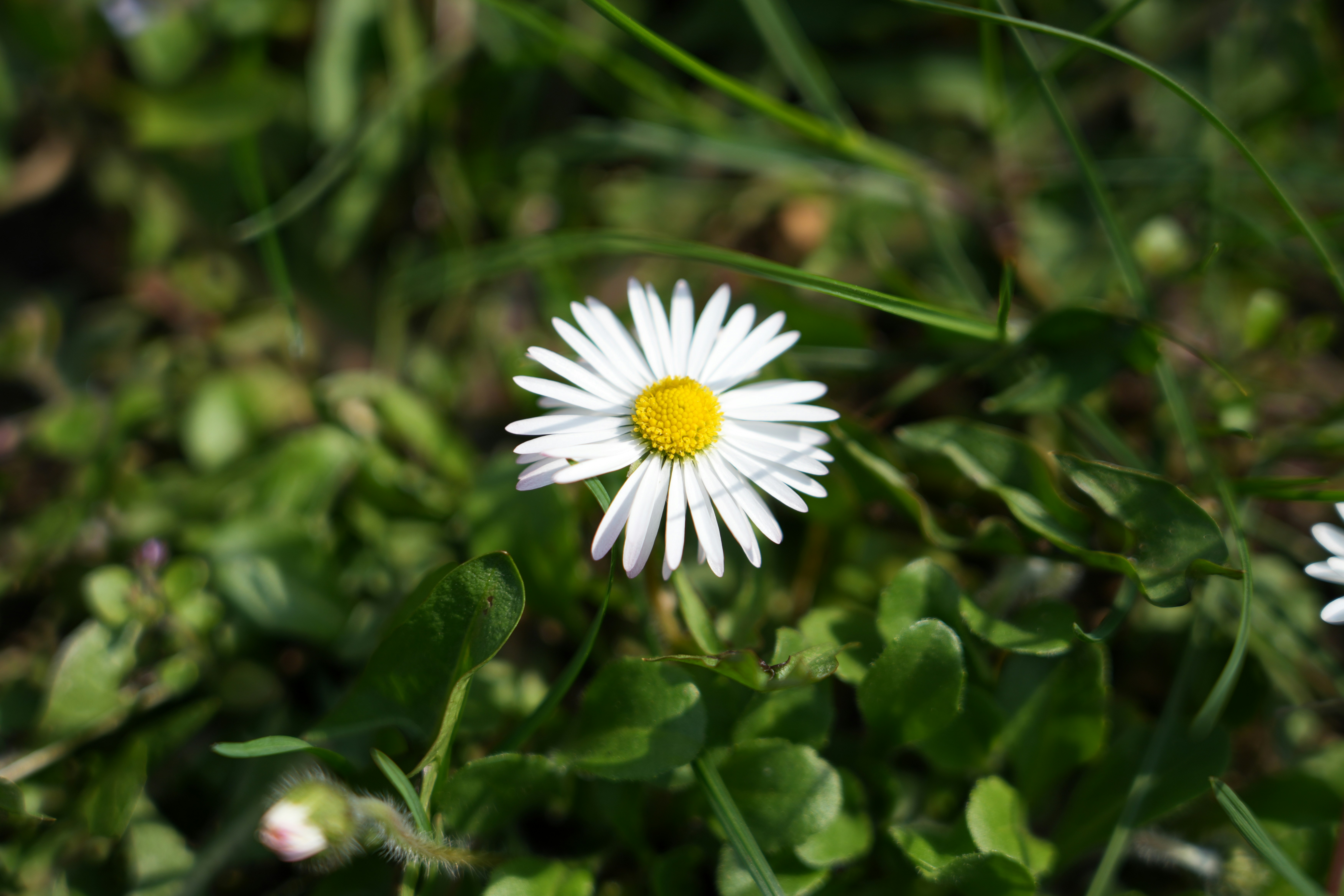 Photo by antjewinkler