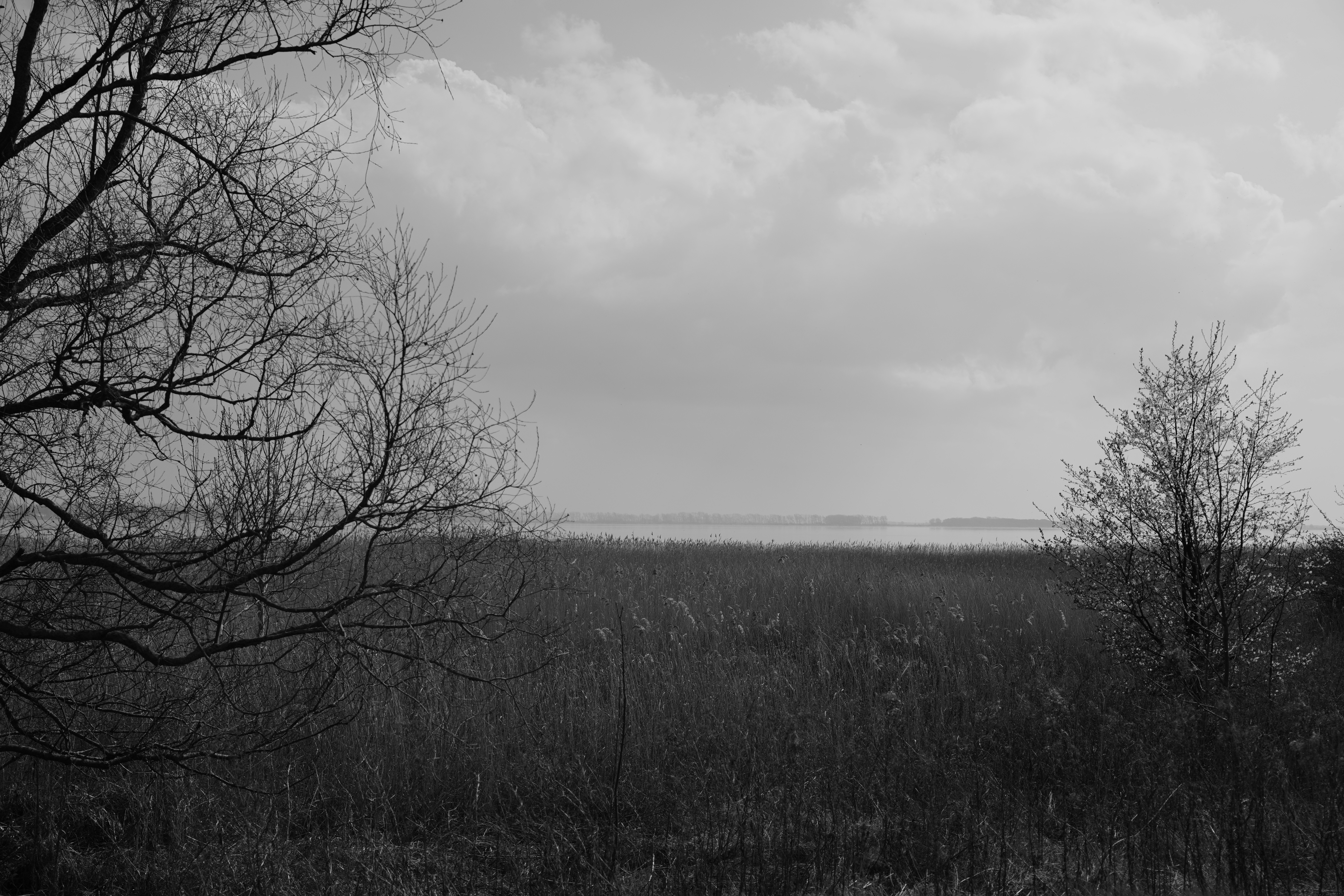 Photo by antjewinkler