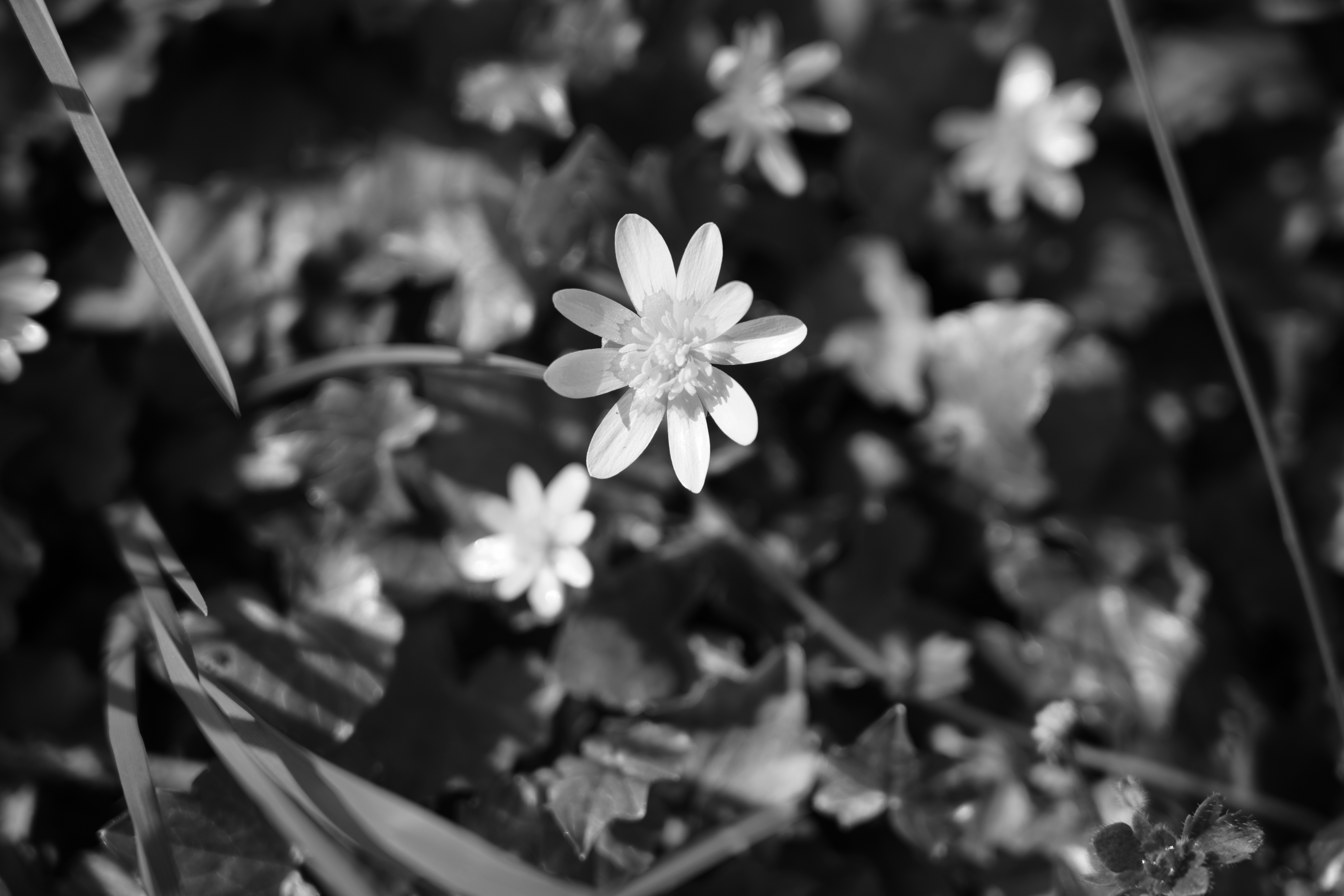 Photo by antjewinkler