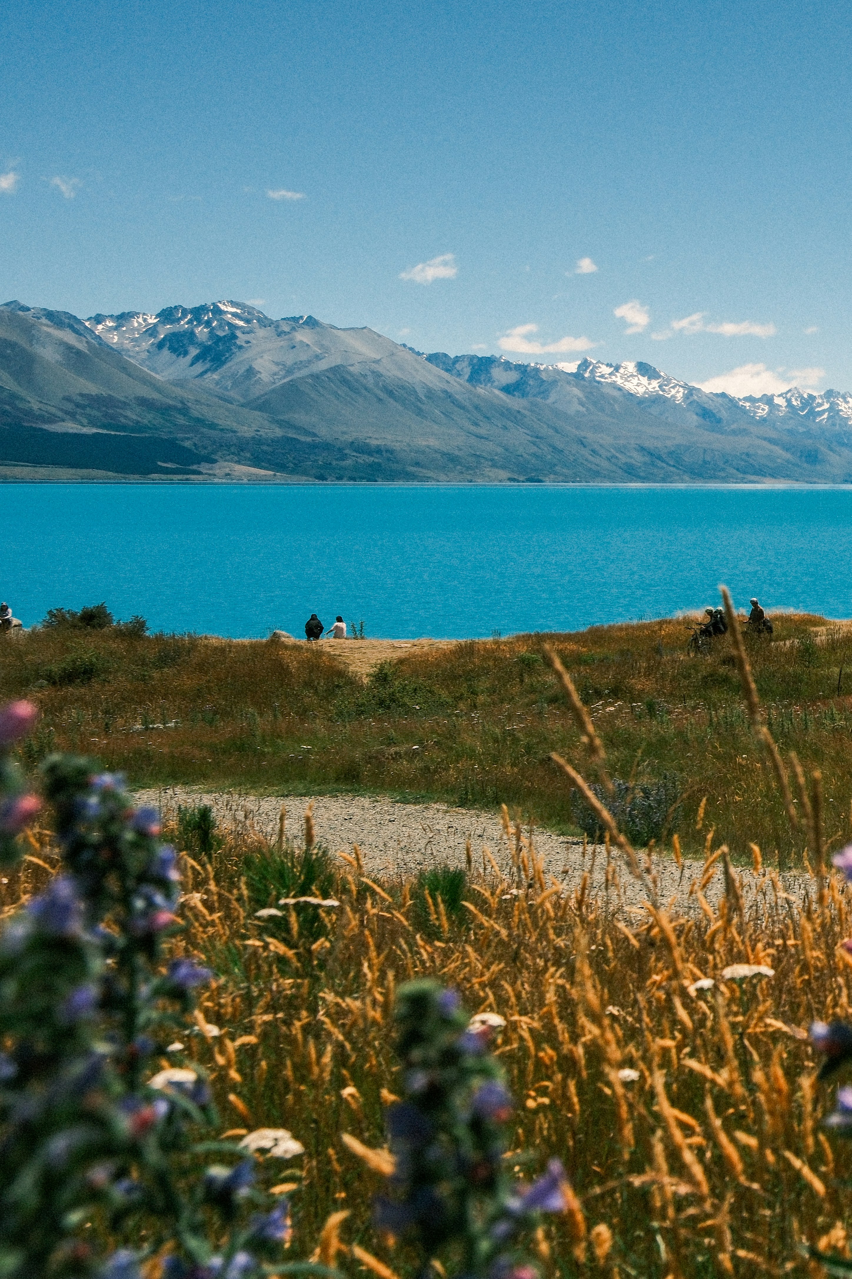 Photo by ginkgoshutter