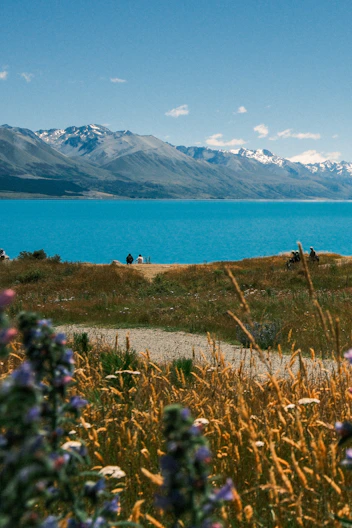 Turquoise lake with snow-capped mountains and wildflowers.