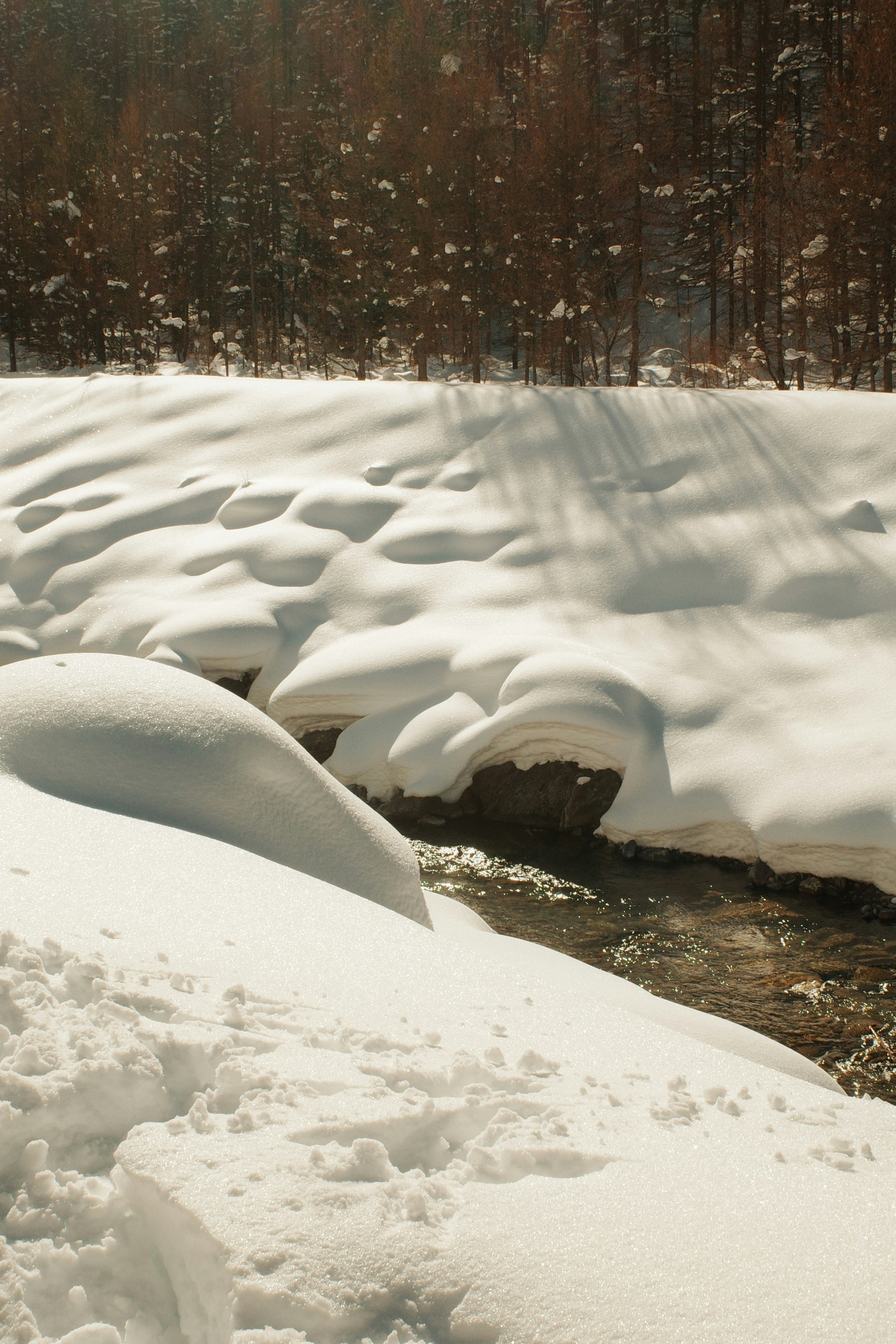 A stream flows through a snow-covered forest landscape.