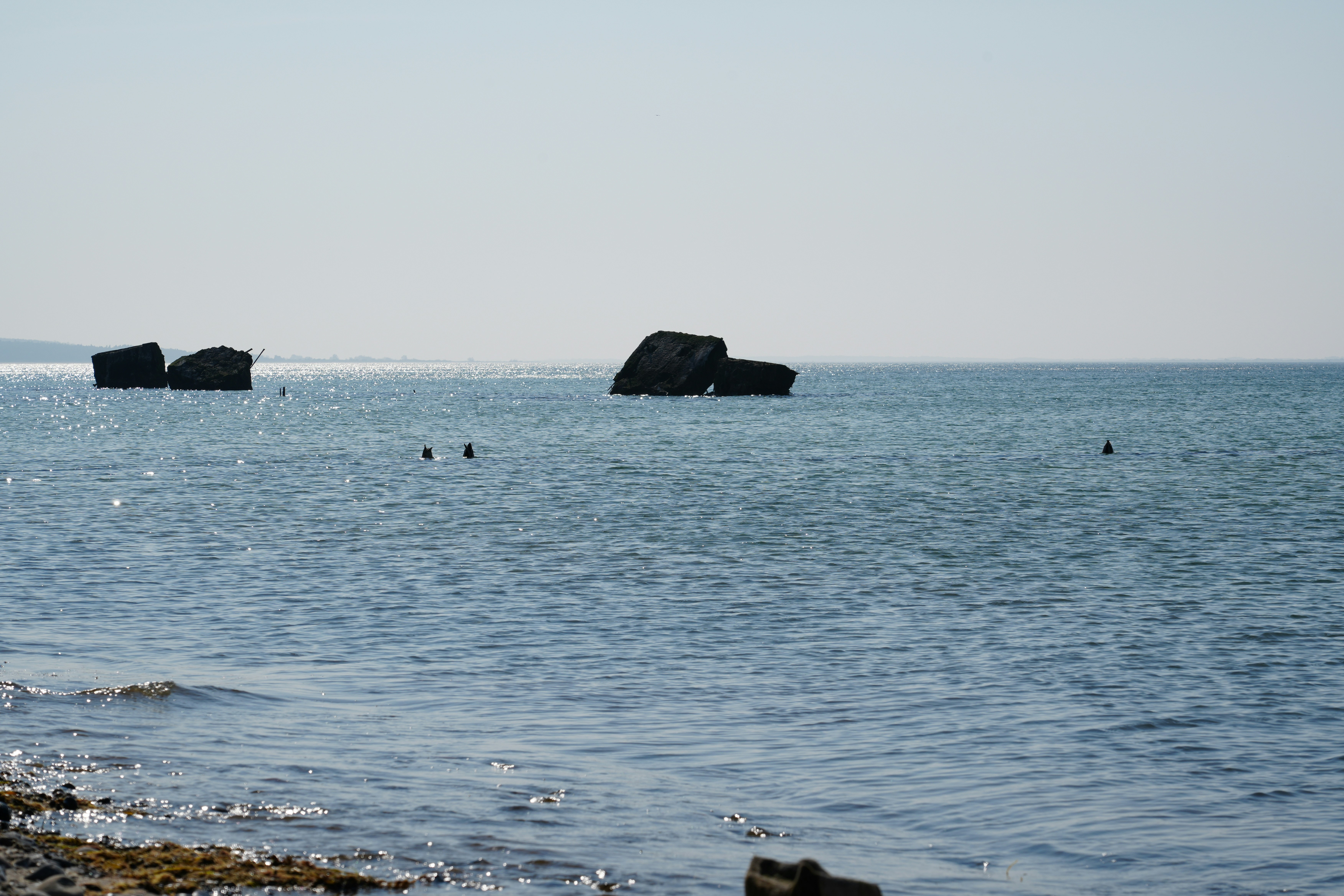 Photo by antjewinkler