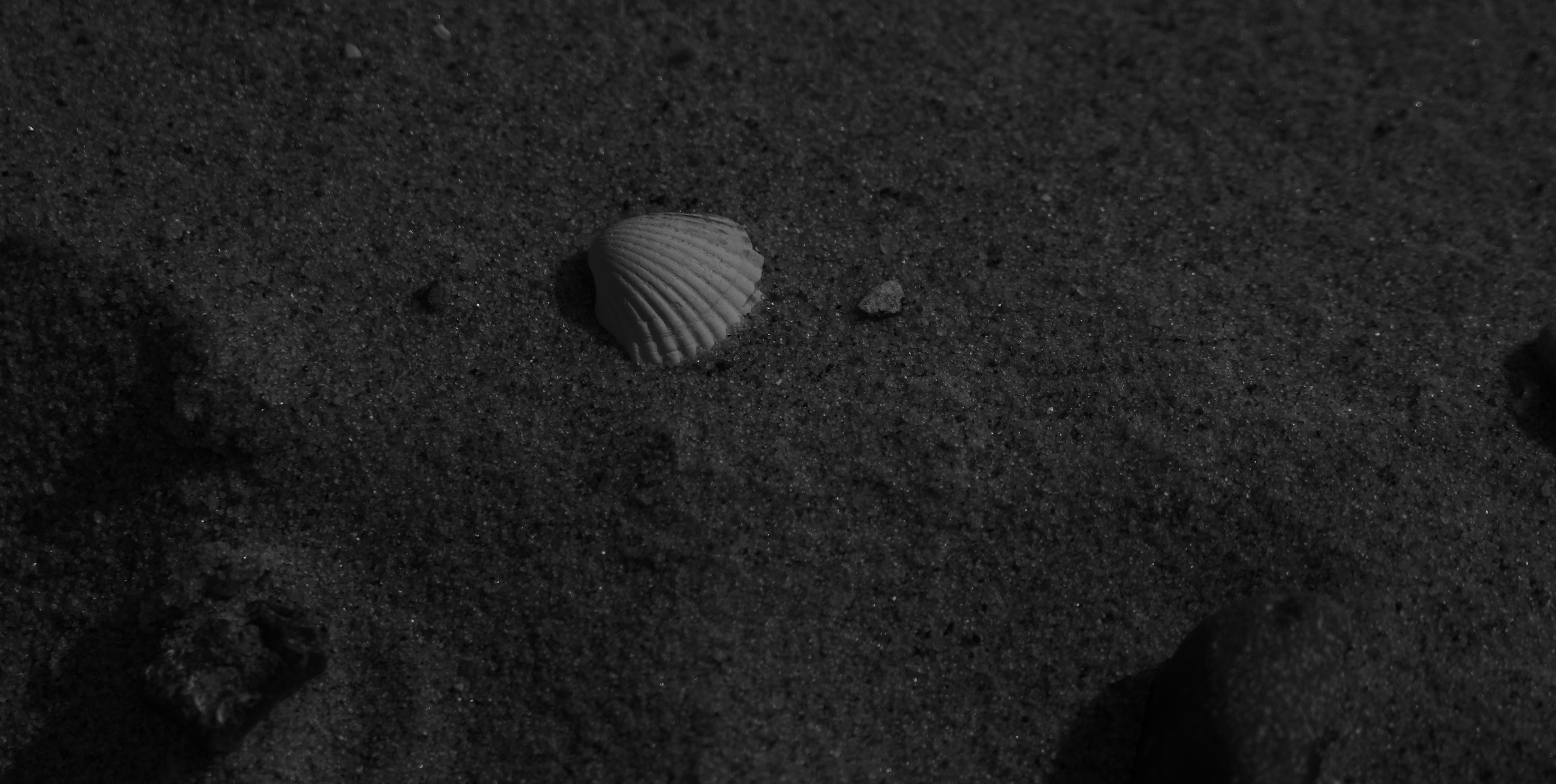 Photo by antjewinkler