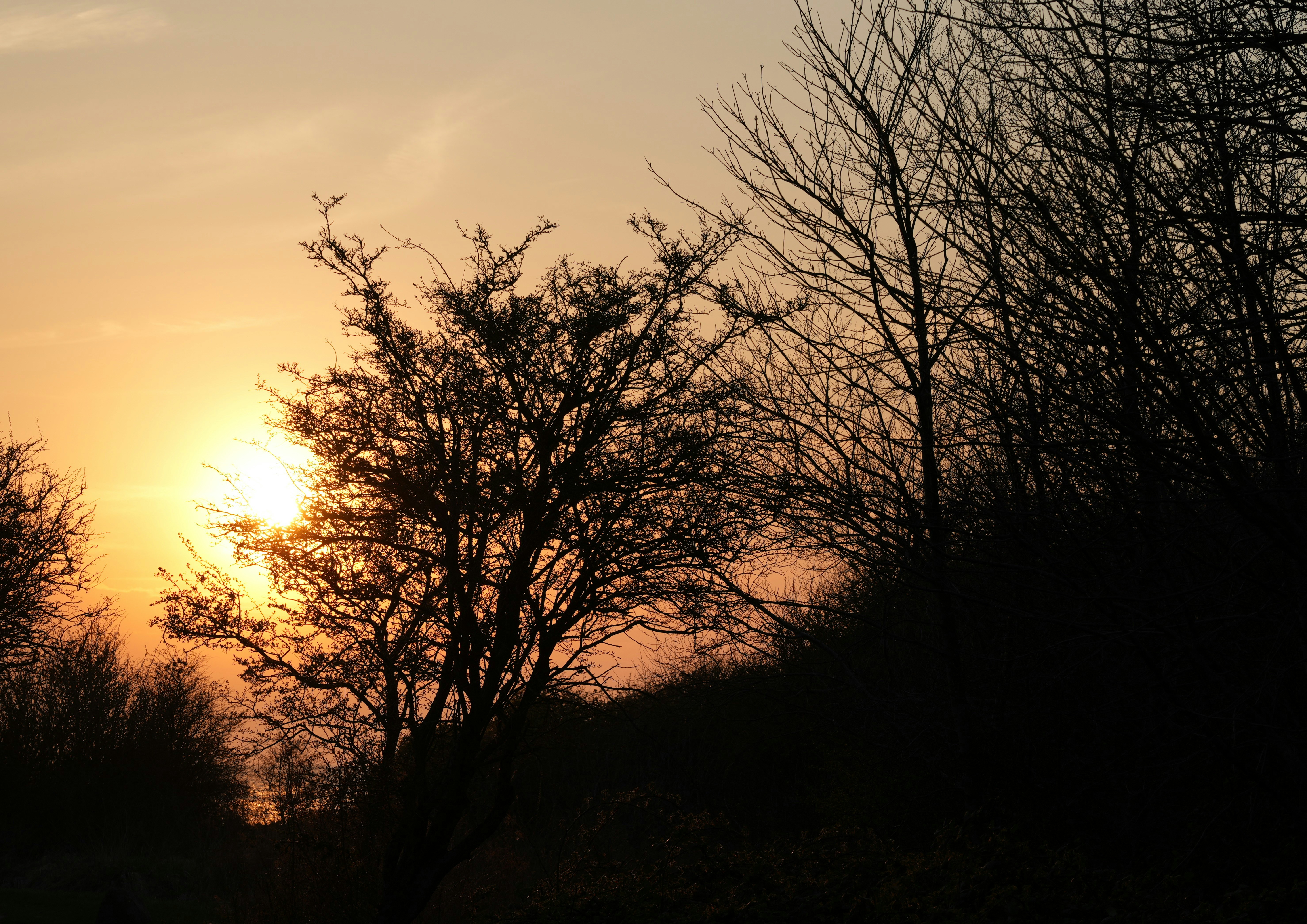 Photo by antjewinkler