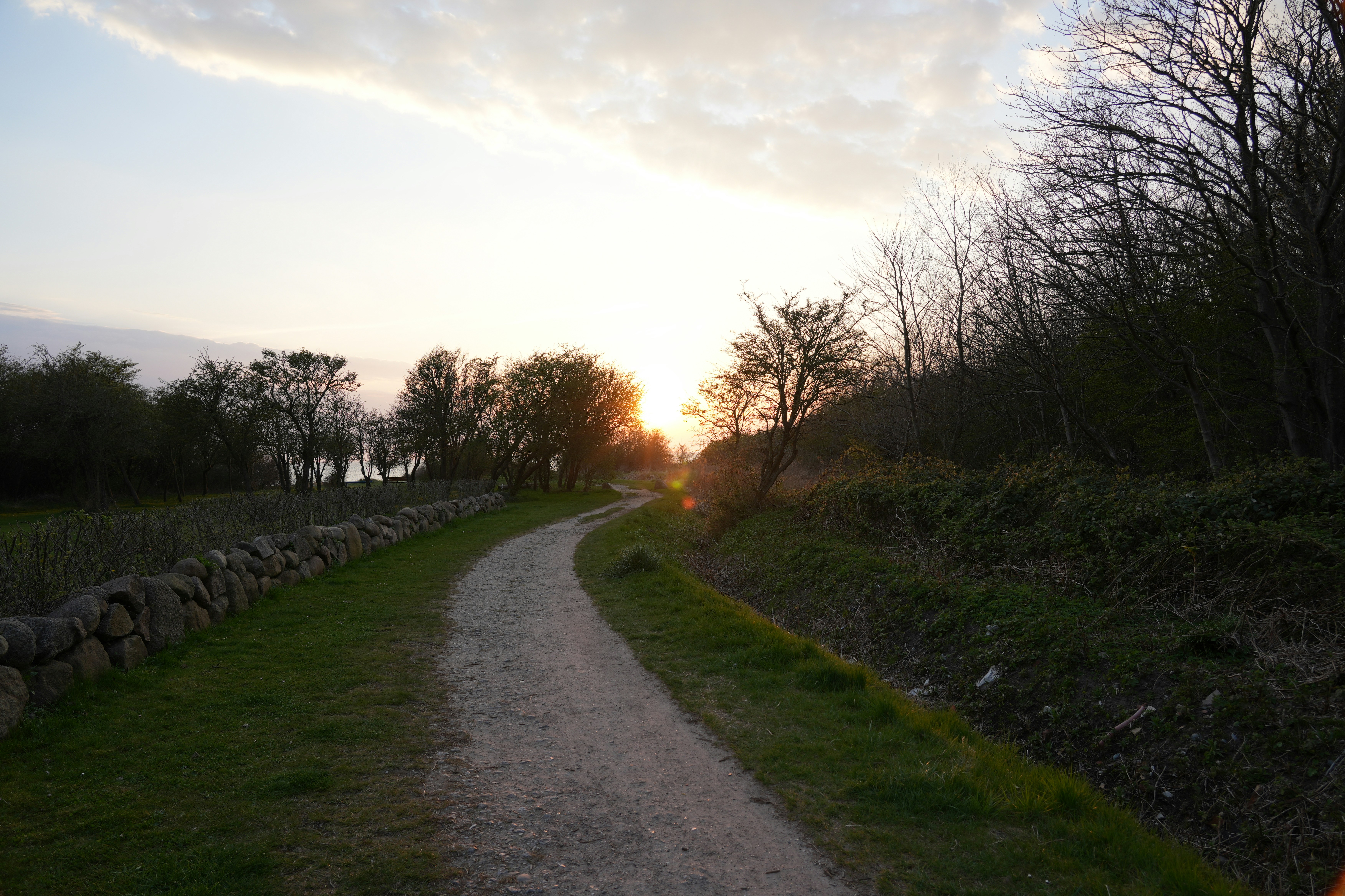 Photo by antjewinkler