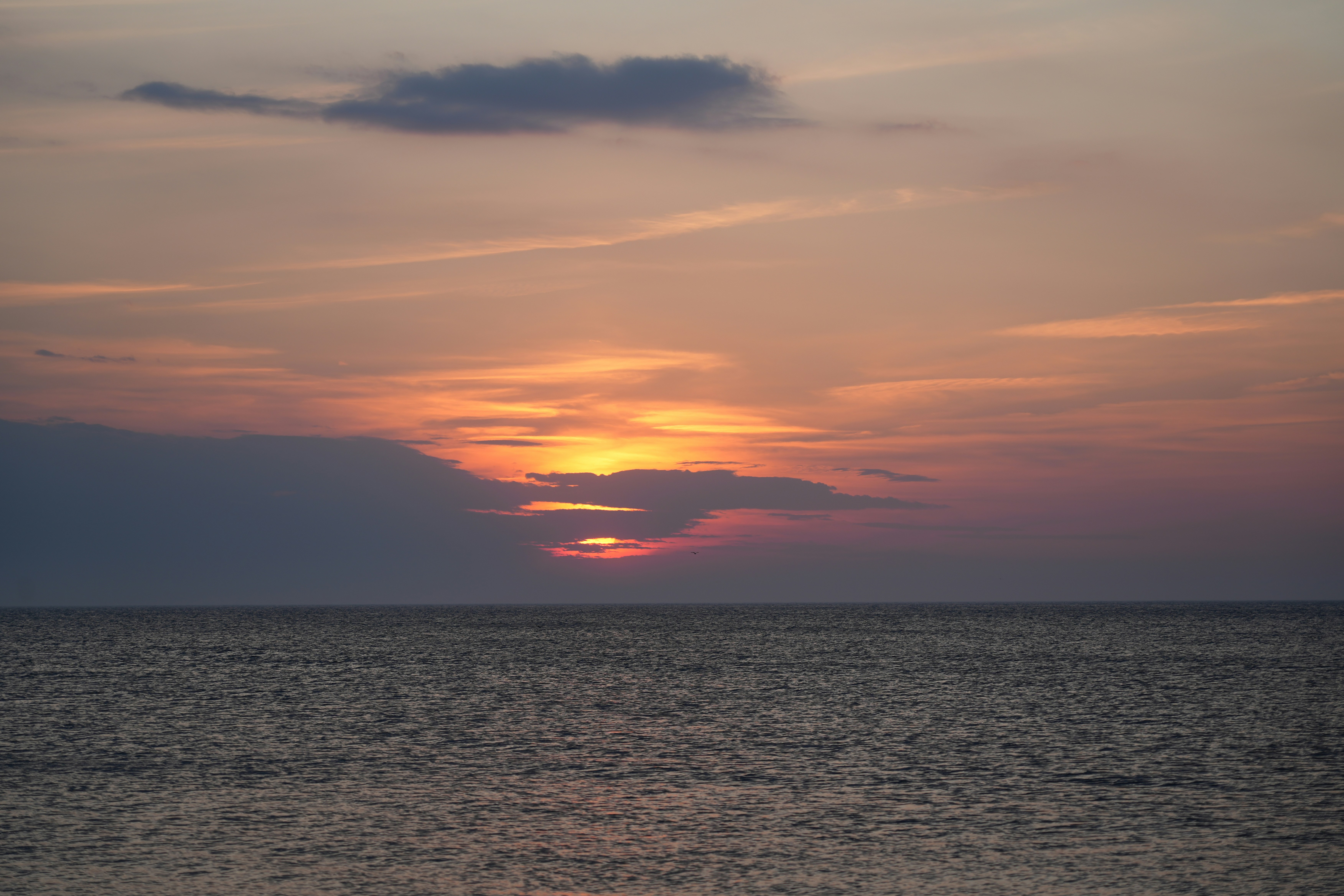 Photo by antjewinkler