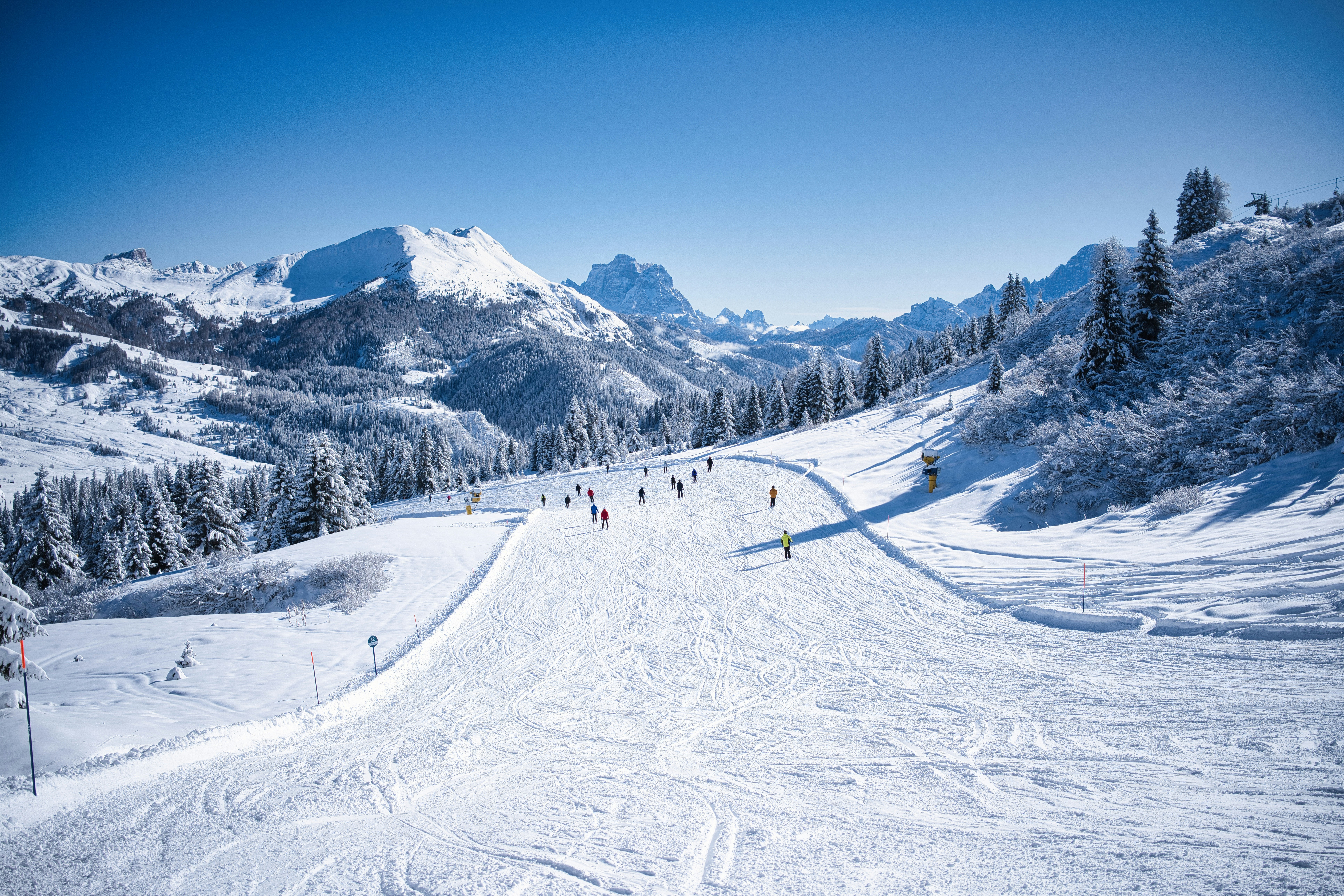 Skiers on a snowy mountain slope with trees and sky.
