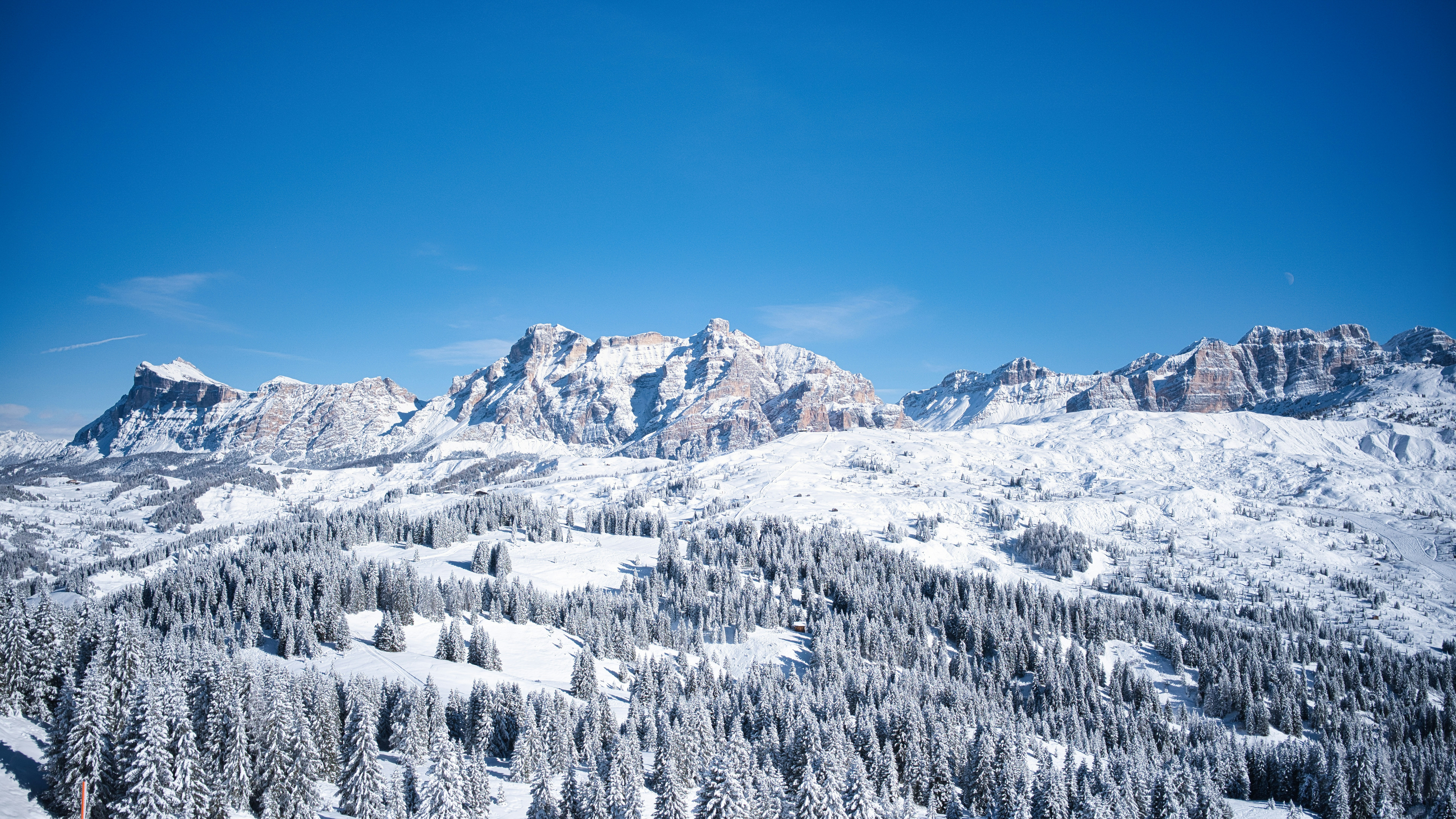 Snow-covered mountains and pine trees under a clear blue sky