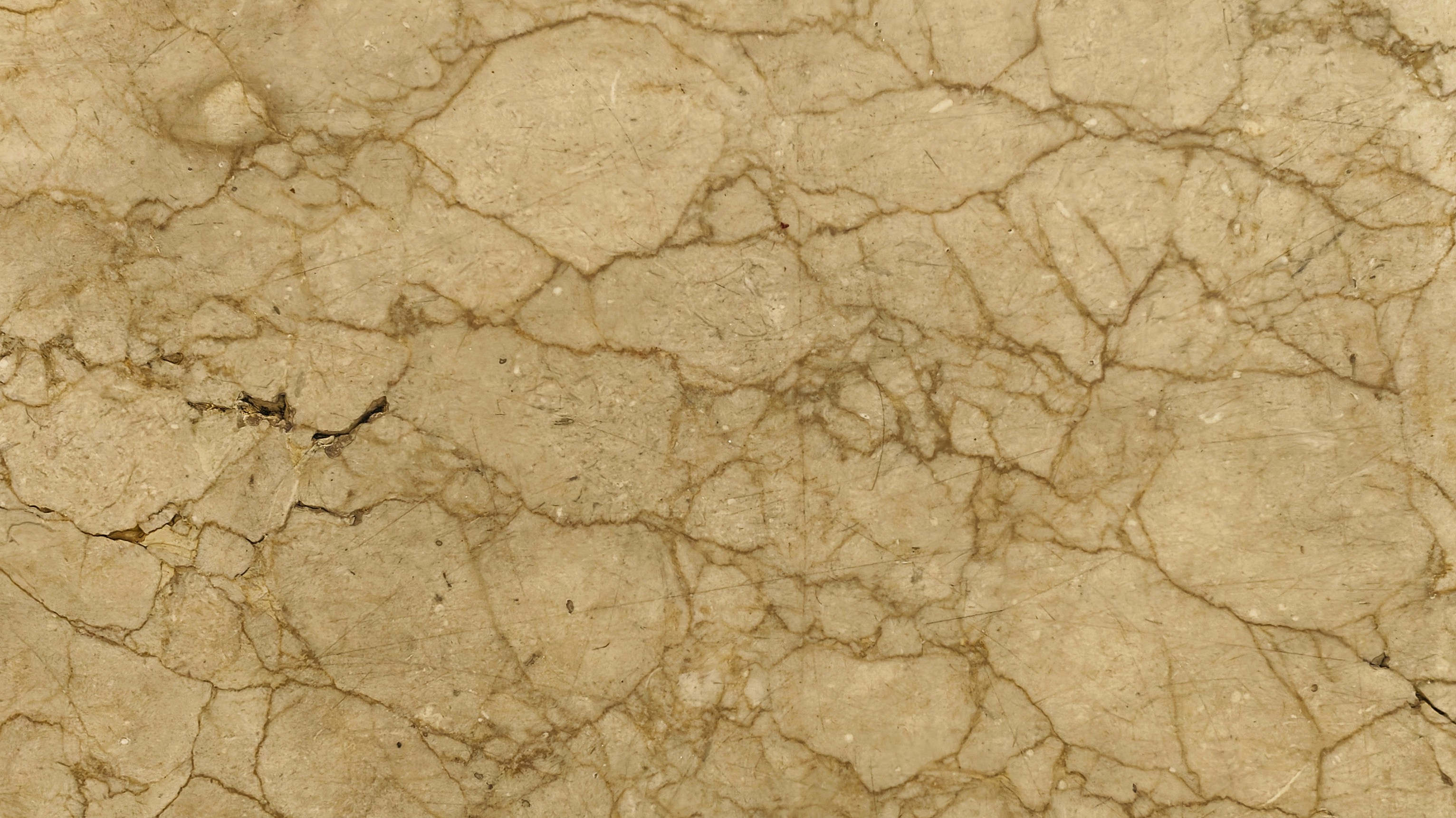A close-up of beige marble with intricate brown veining.