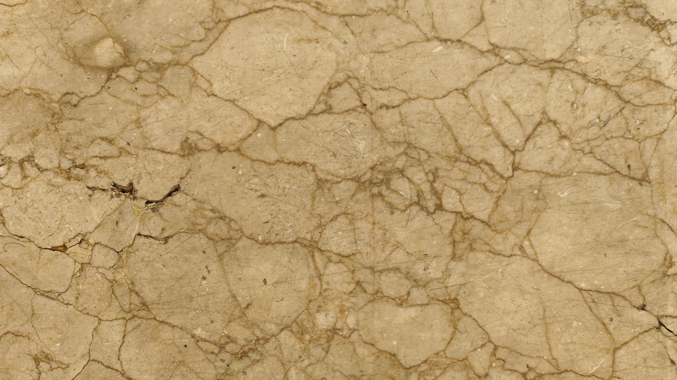 Warm beige natural stone with expressive organic veining and refined texture