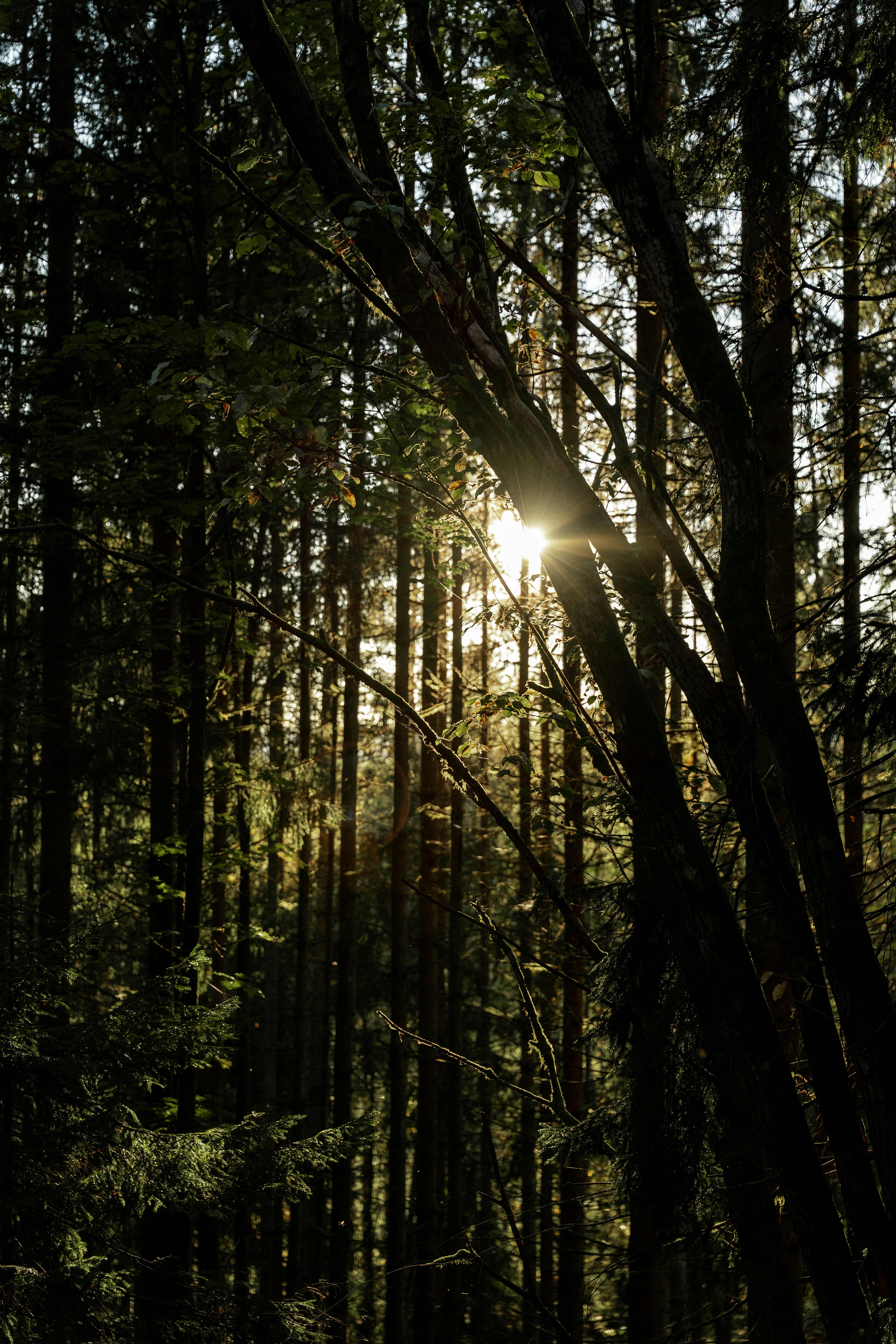 Photo by trfotografi