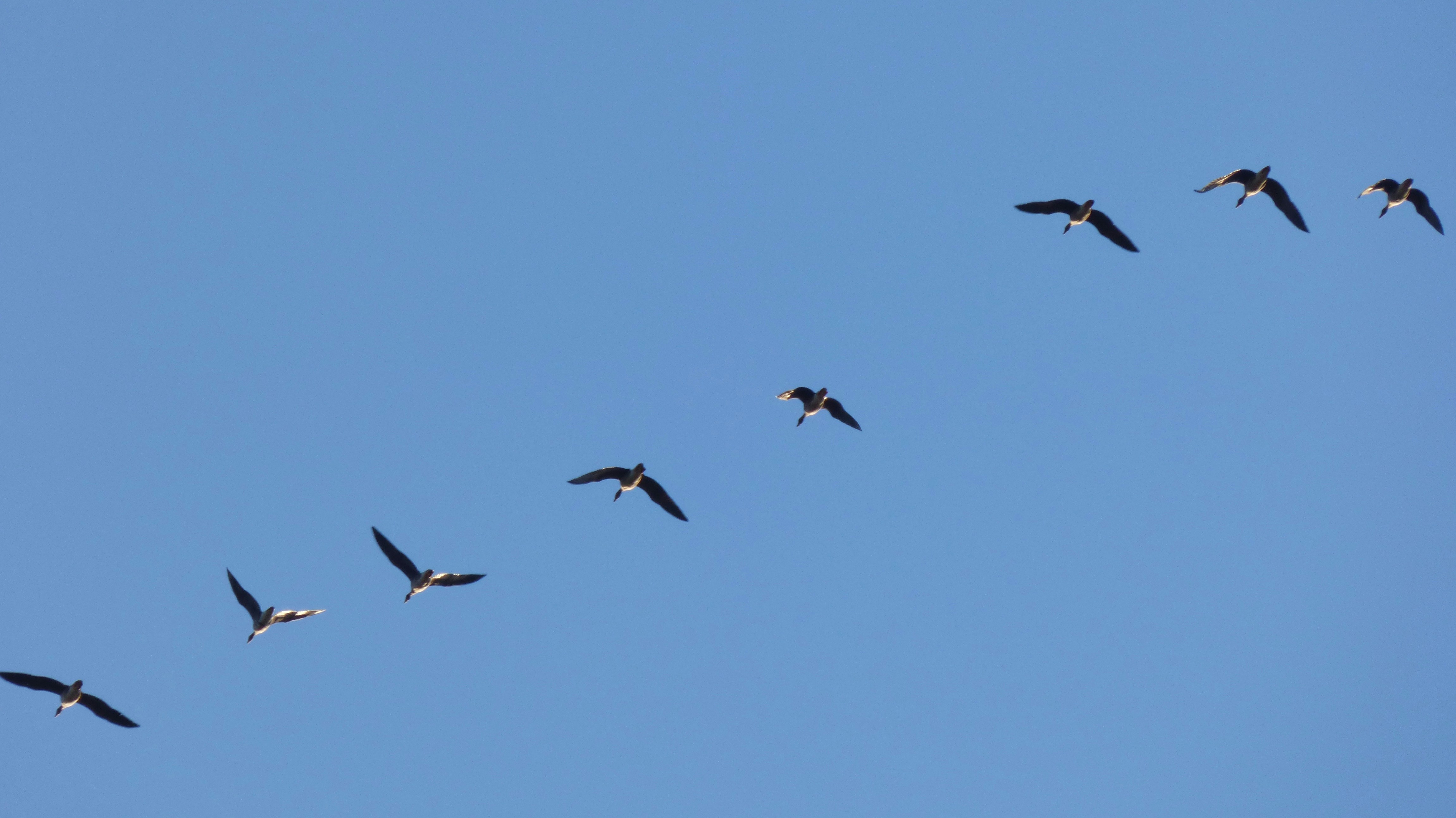 Photo by nikodemus777