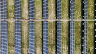 Rows of solar panels in a grassy field.