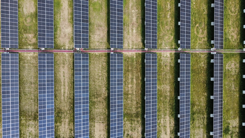 Rows of solar panels in a grassy field.