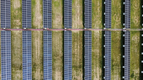 Reihen von Solarmodulen auf einer Wiese