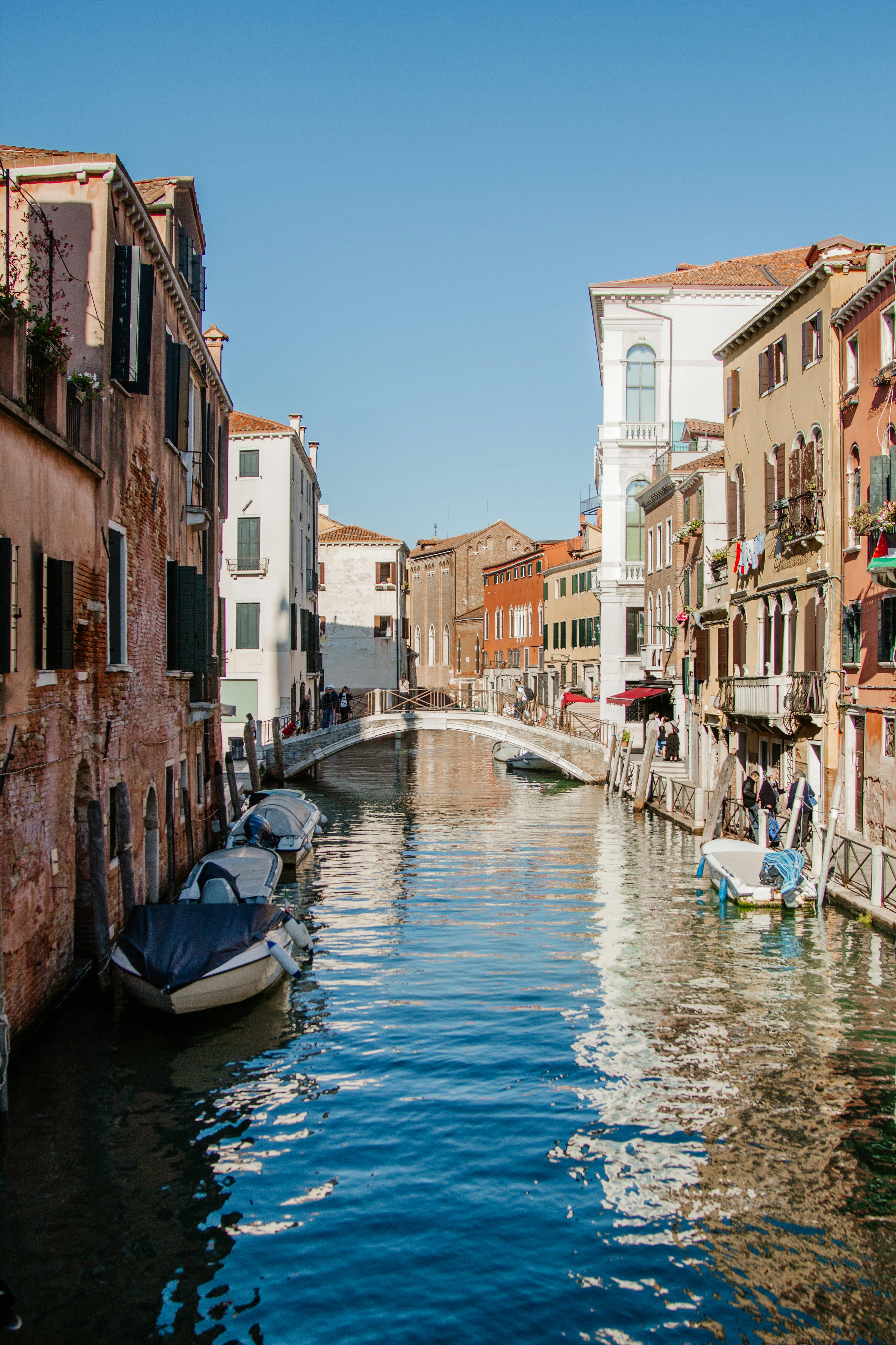 Photo by amegorden96