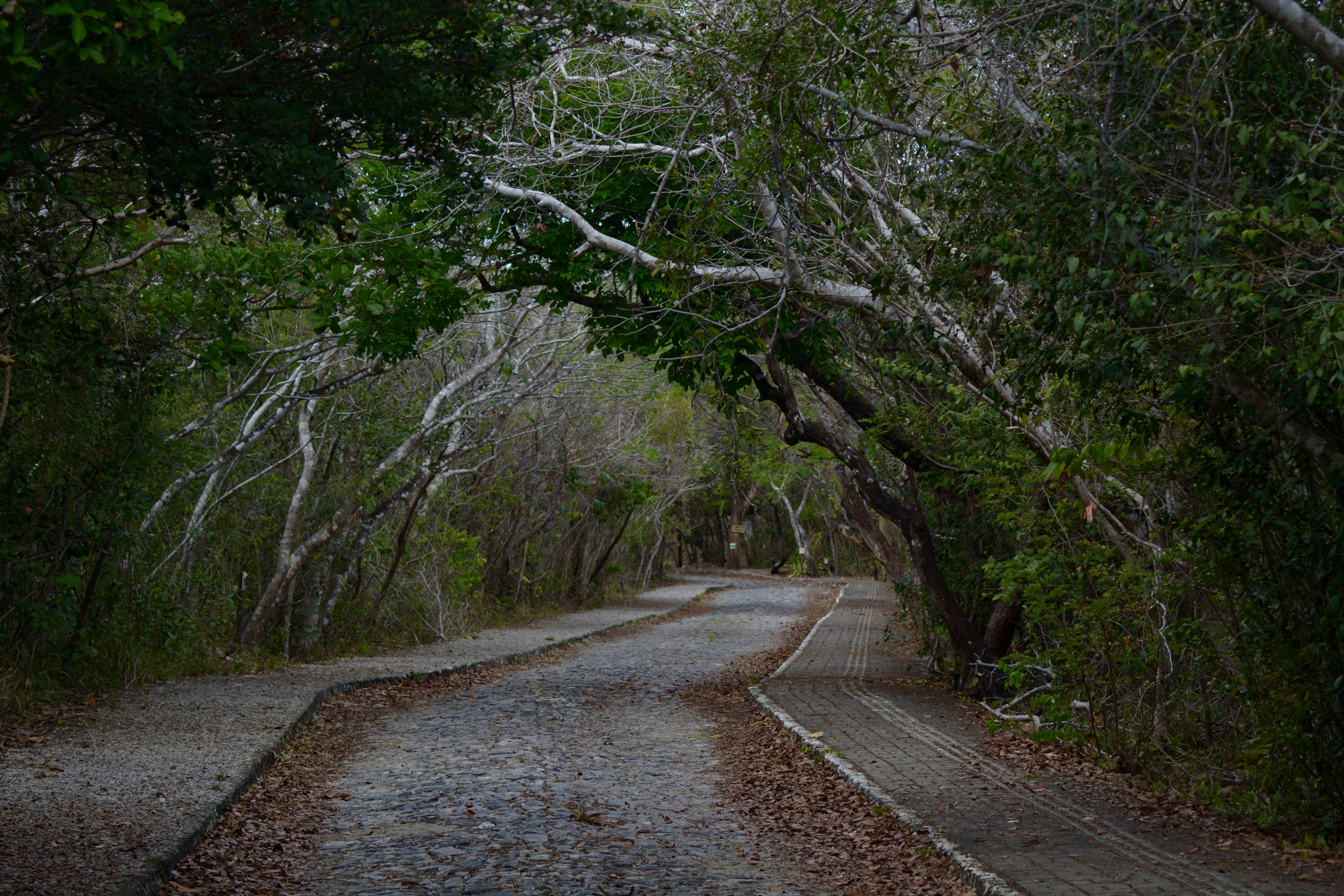 Photo by iurialbuquerque