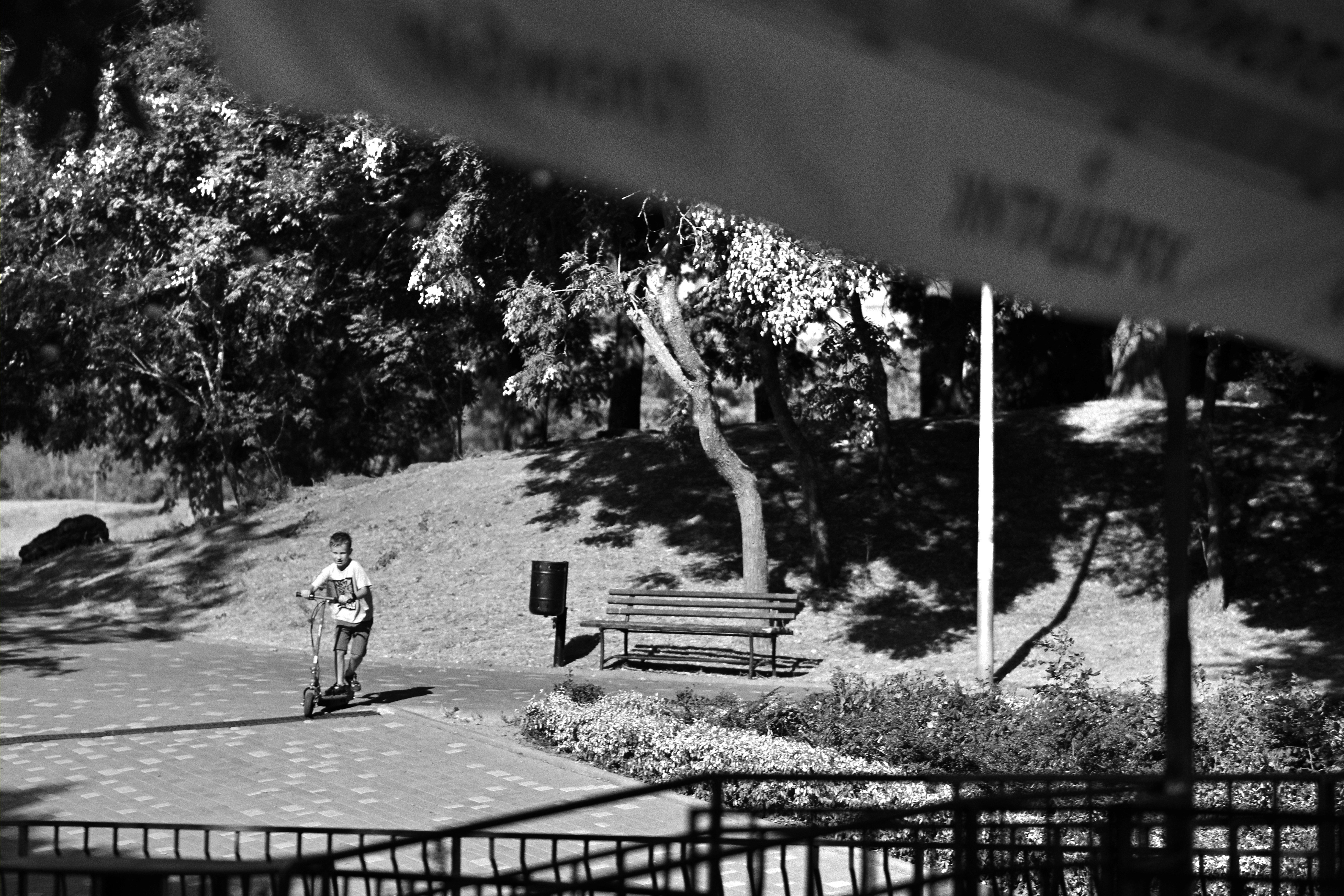 A person walks on a path in a park.