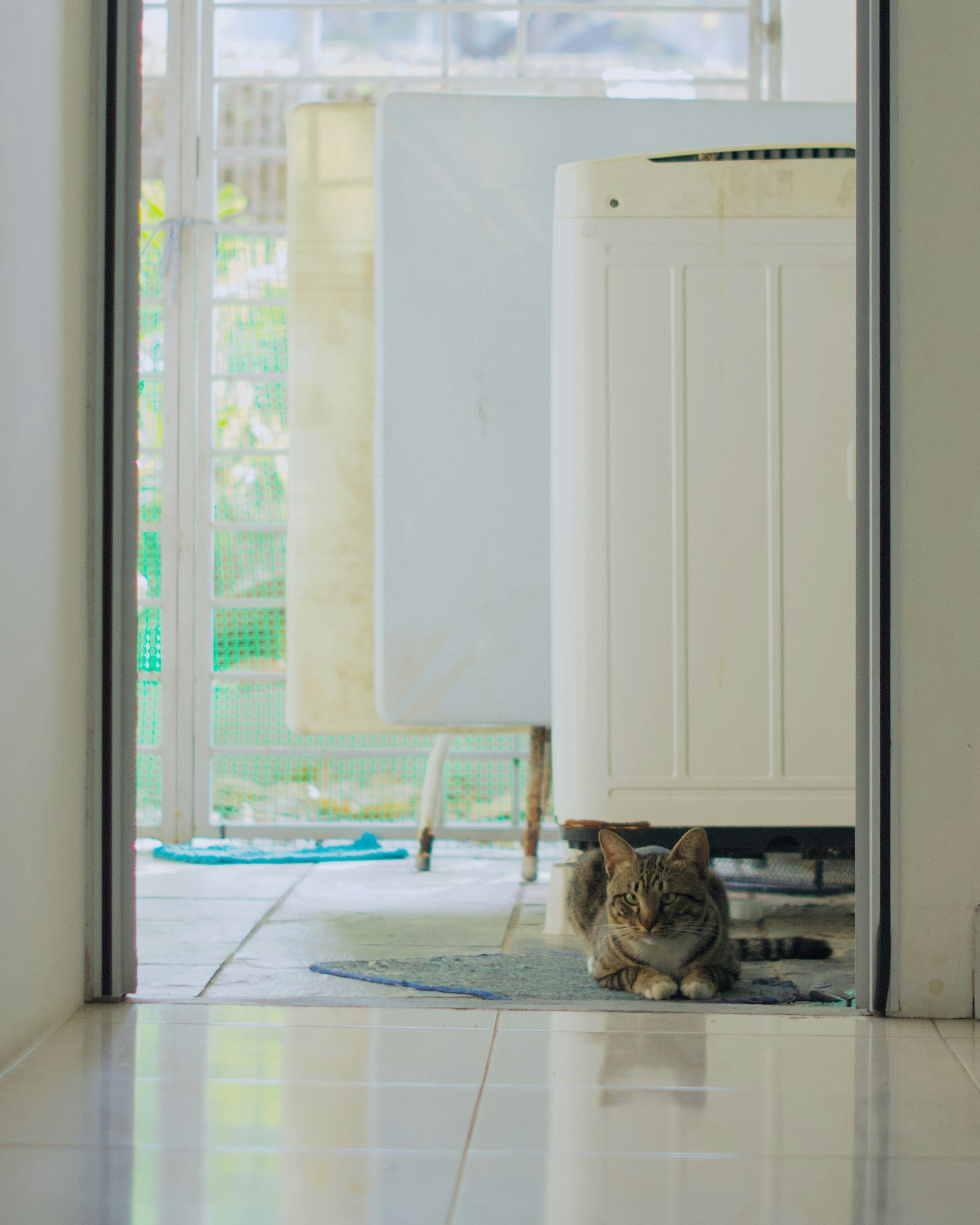 Photo by bywindahlimbai