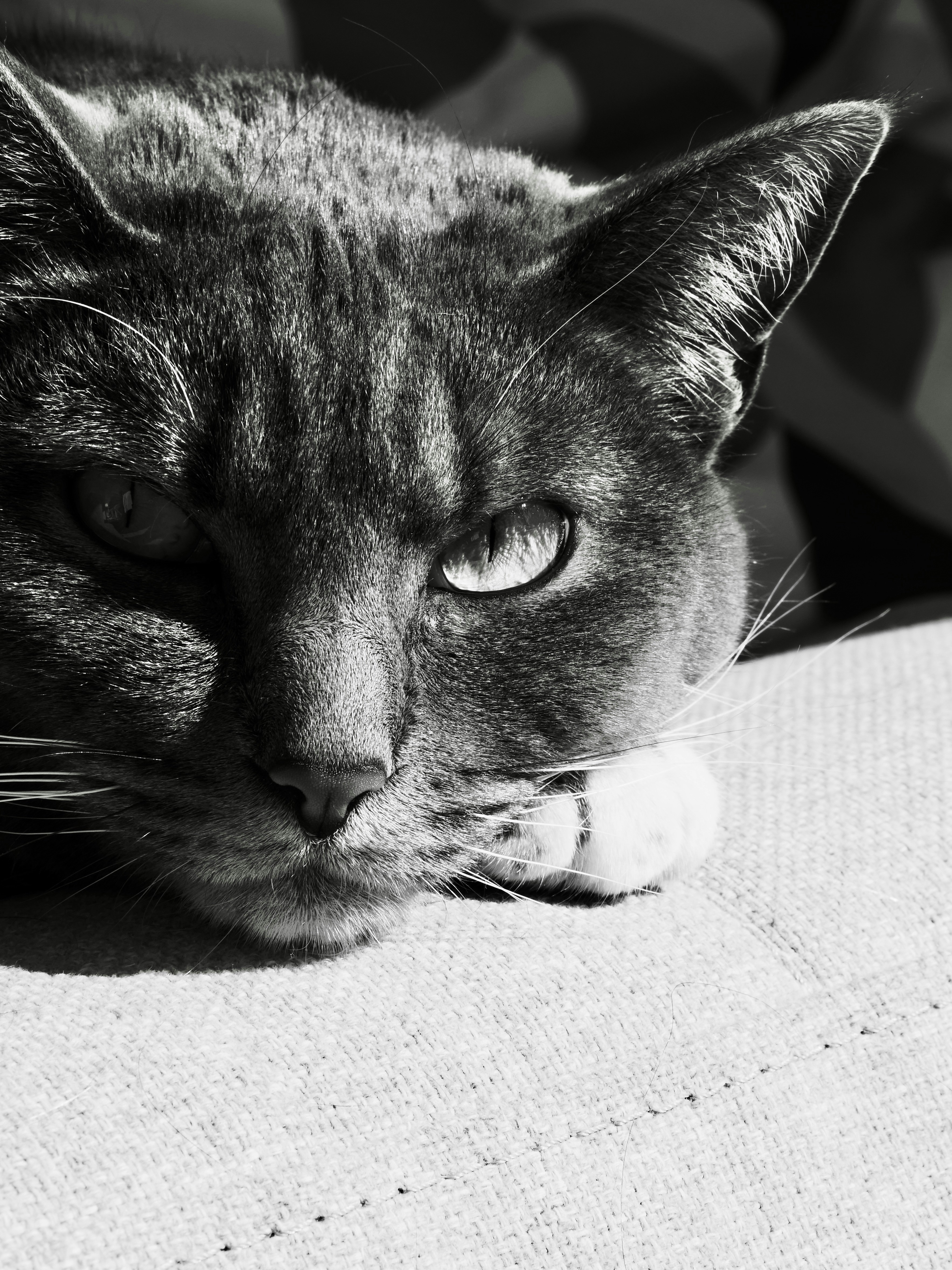 Photo by sschusterphotoart