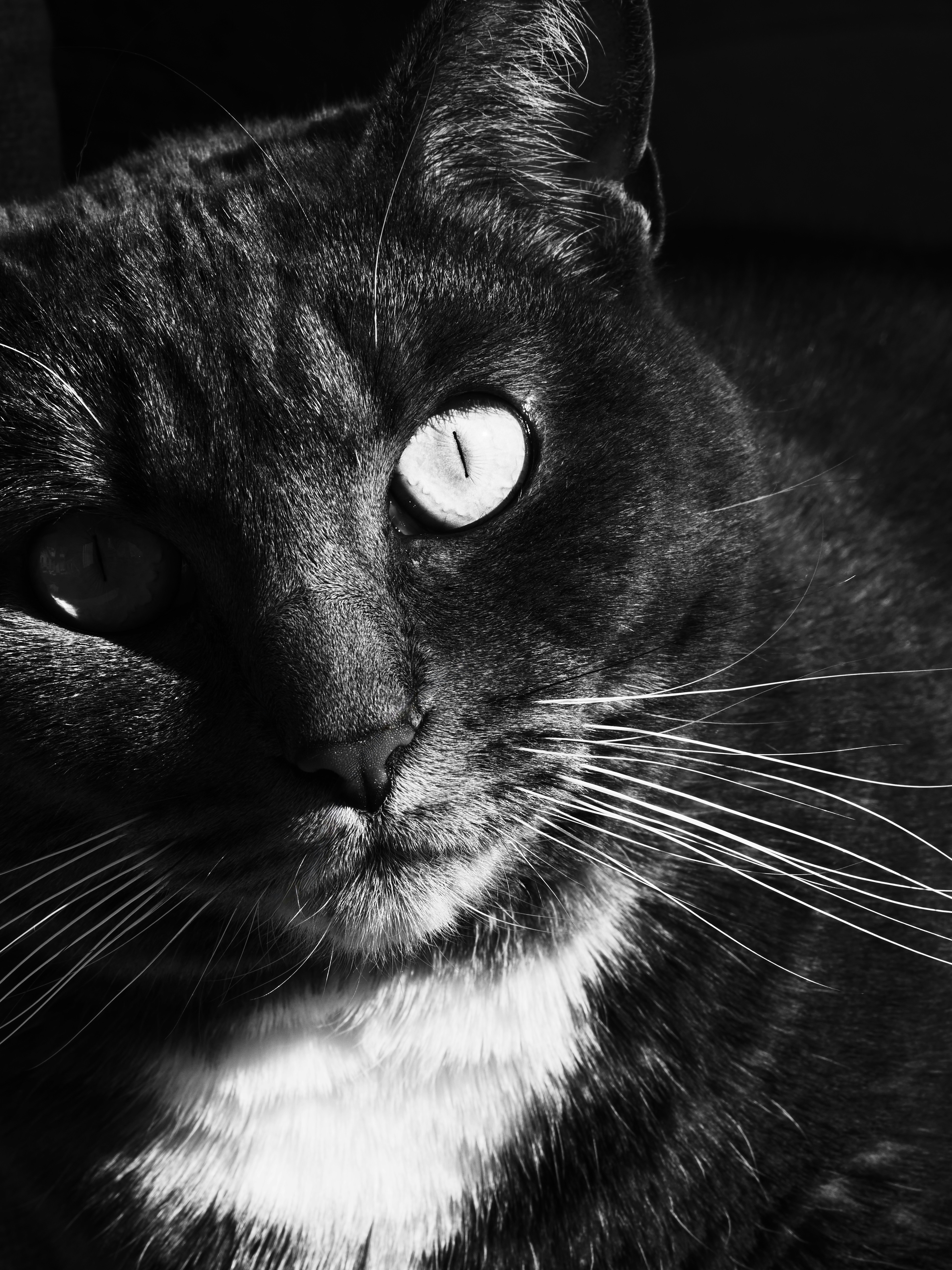 Photo by sschusterphotoart