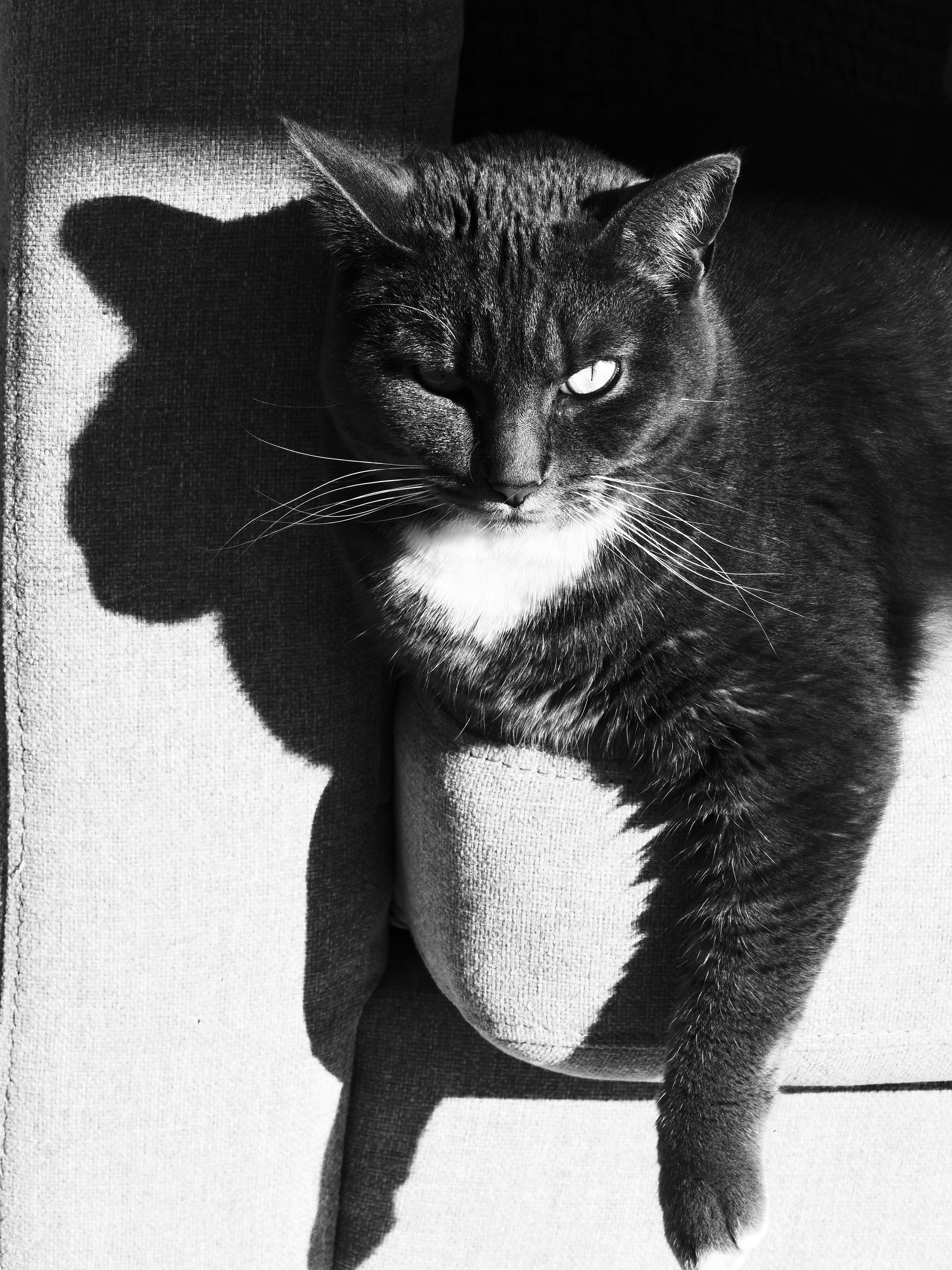 Photo by sschusterphotoart