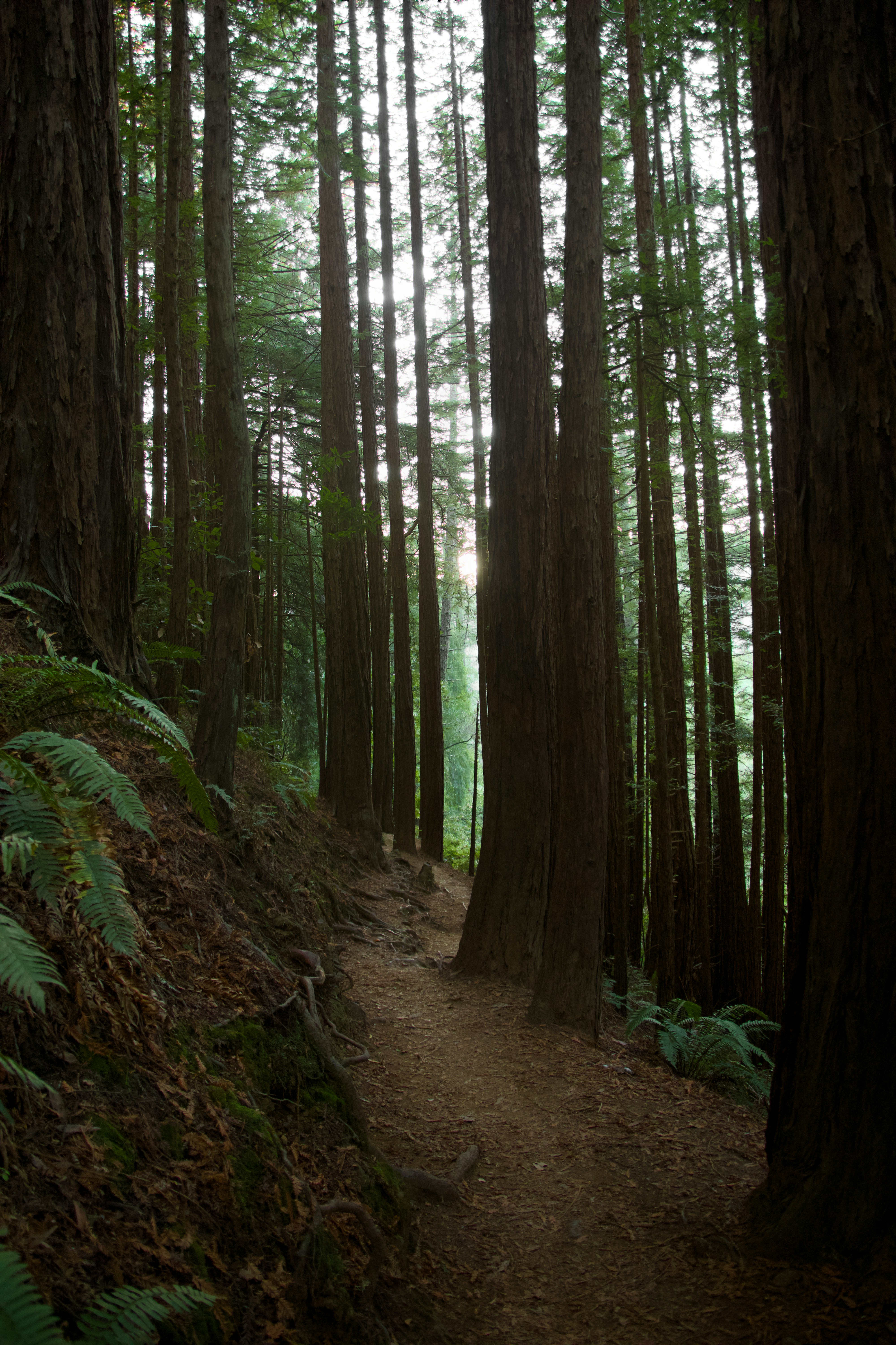 Photo by sarguninder