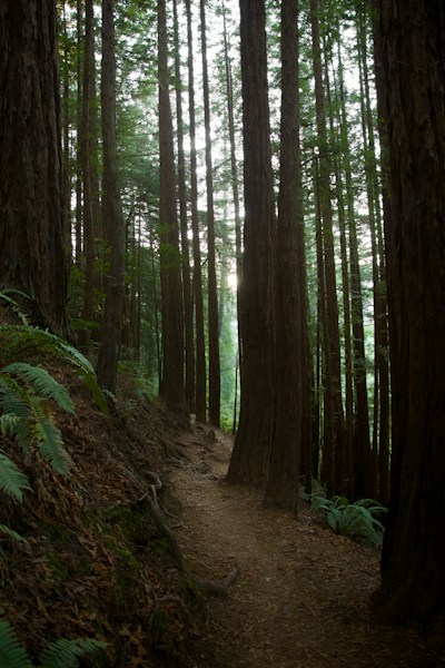 Bothe-Napa Valley State Park