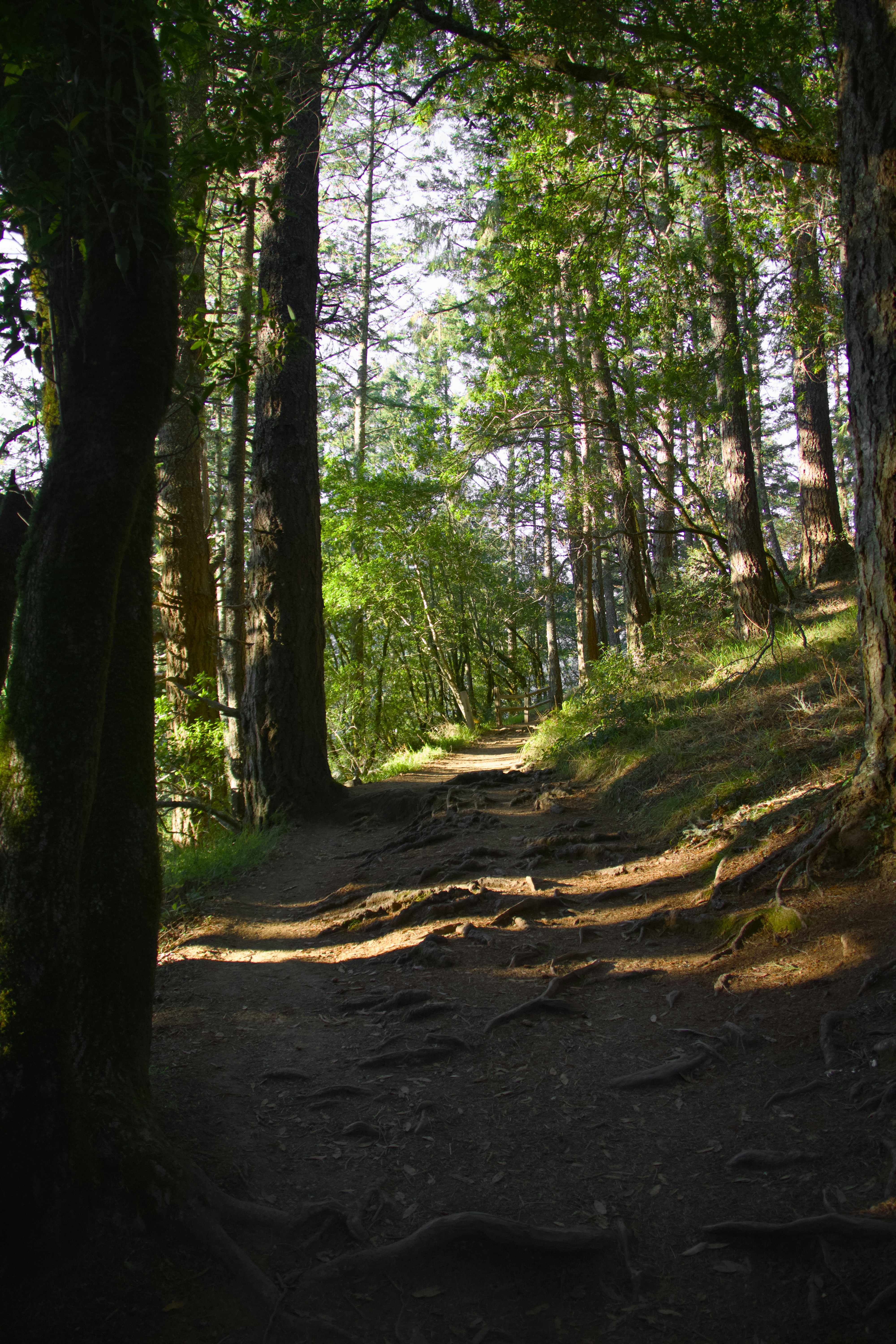 Photo by sarguninder