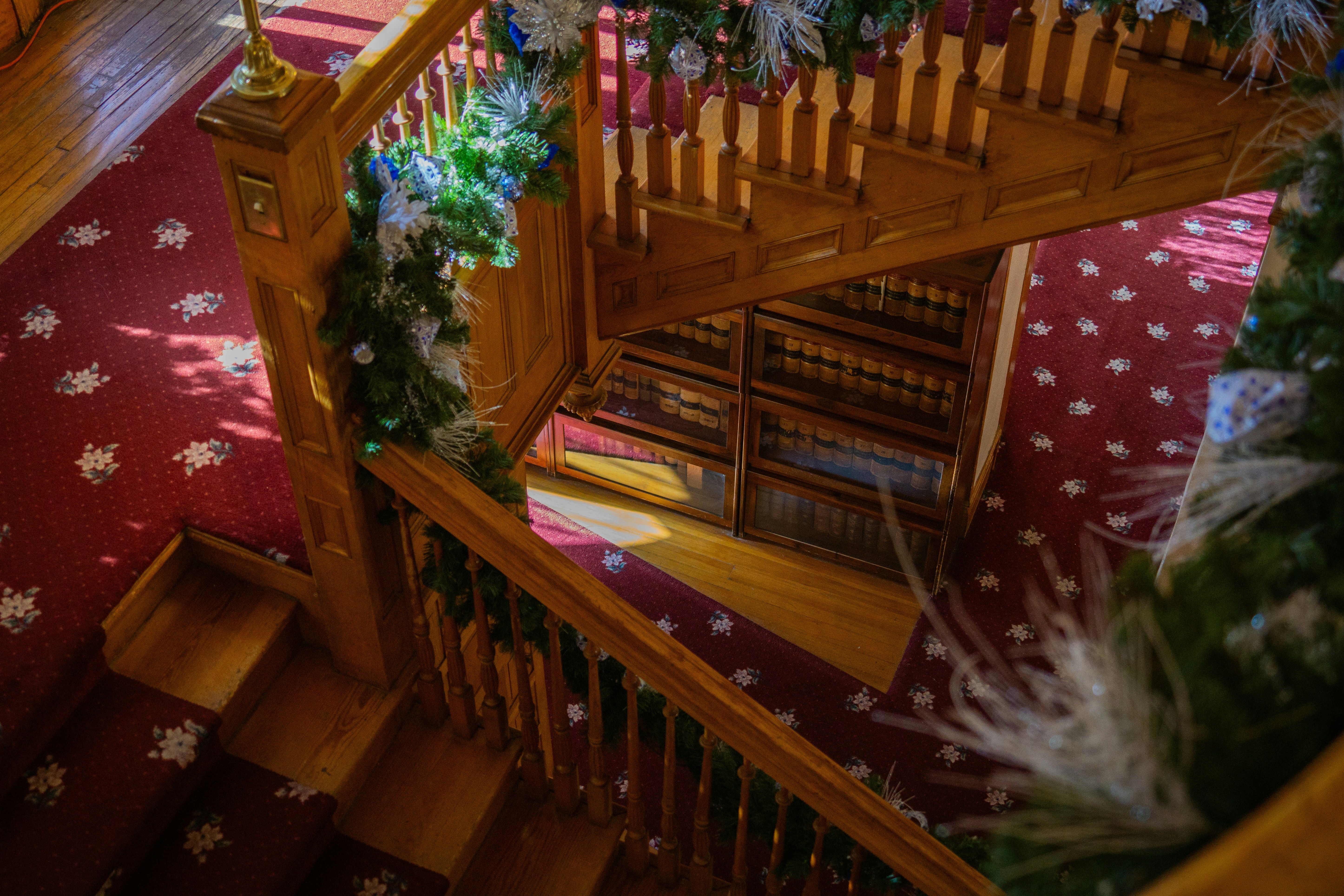 Photo by dr_omelette