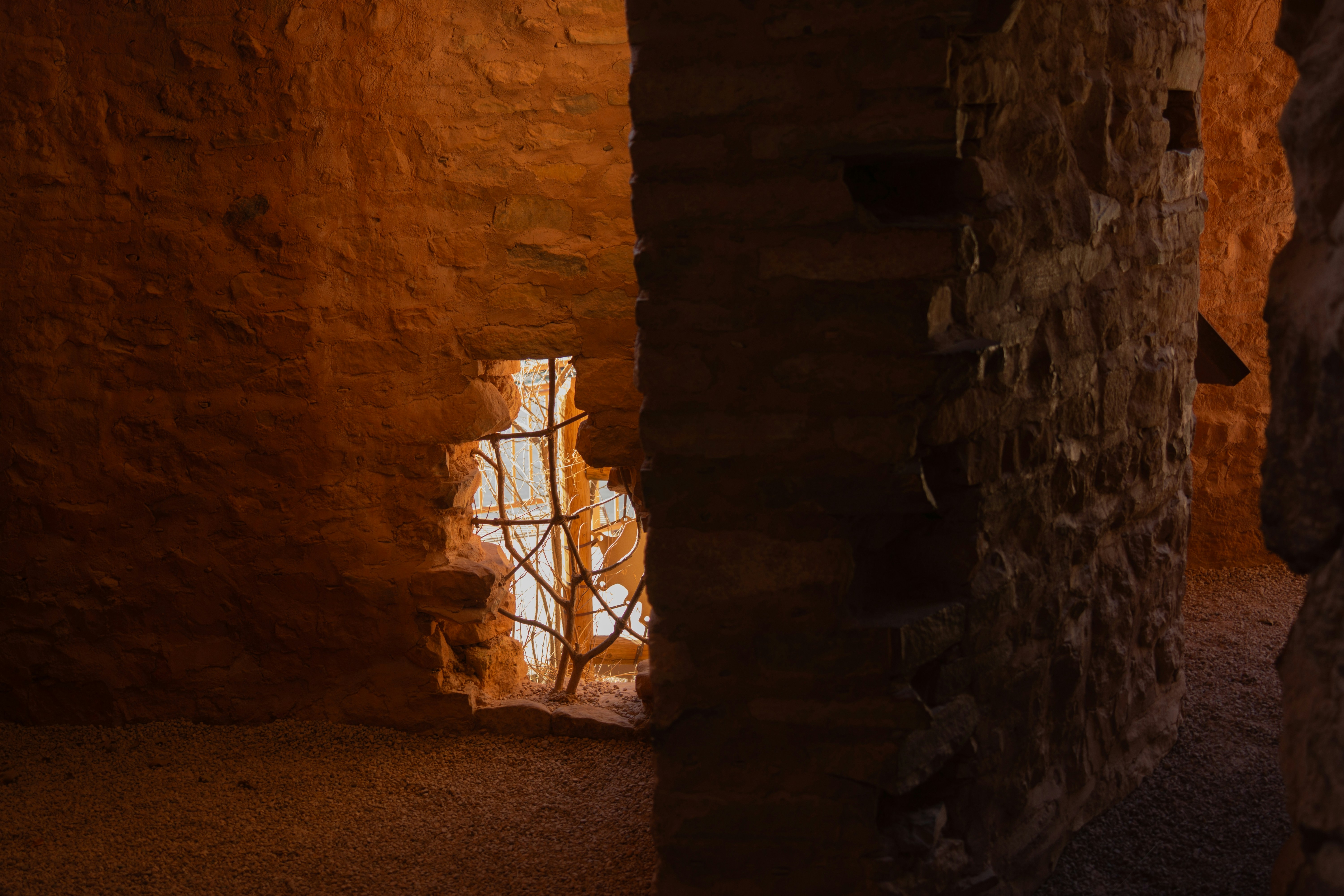 Photo by dr_omelette