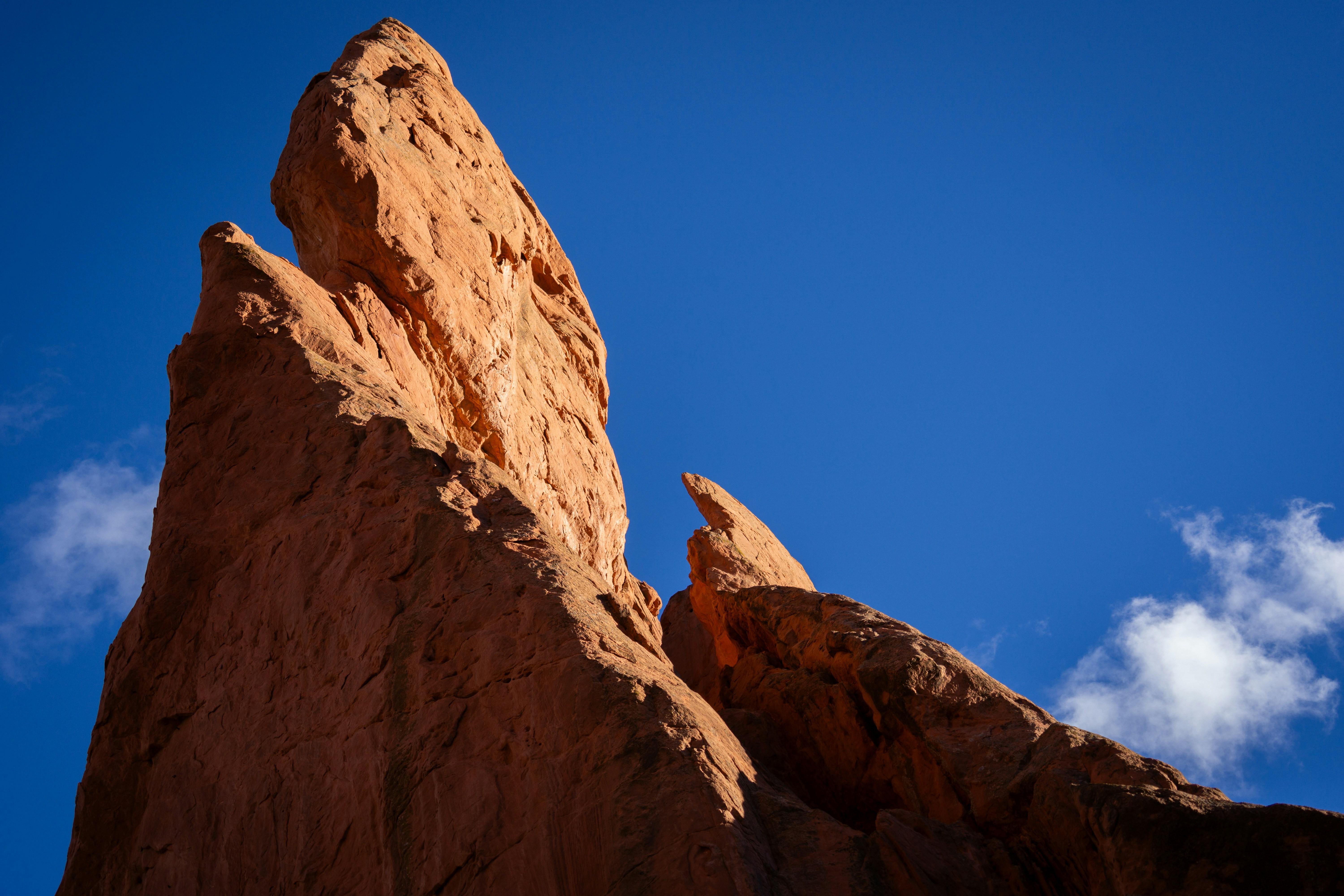 Photo by dr_omelette