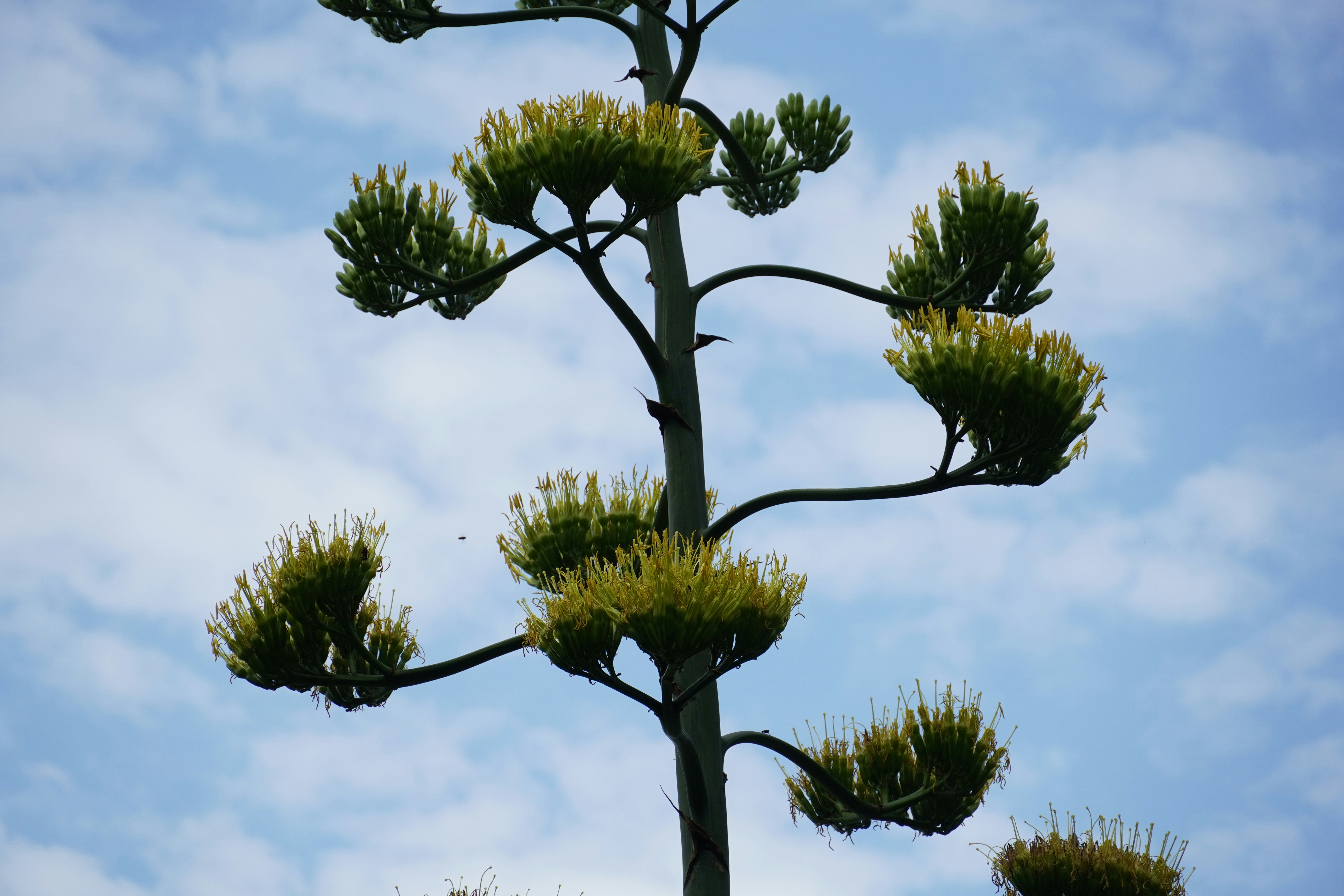 Photo by dsnphotography