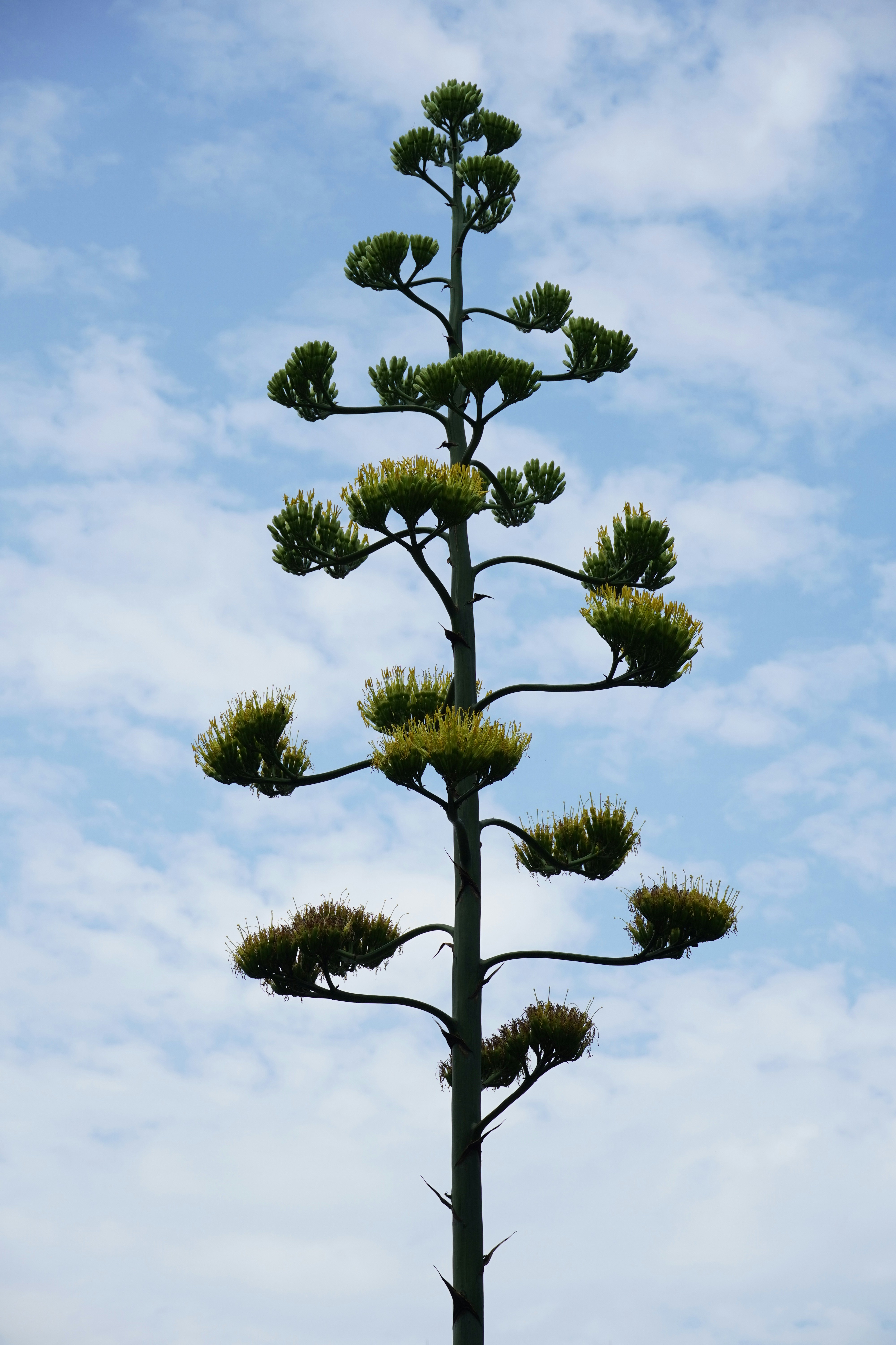 Photo by dsnphotography