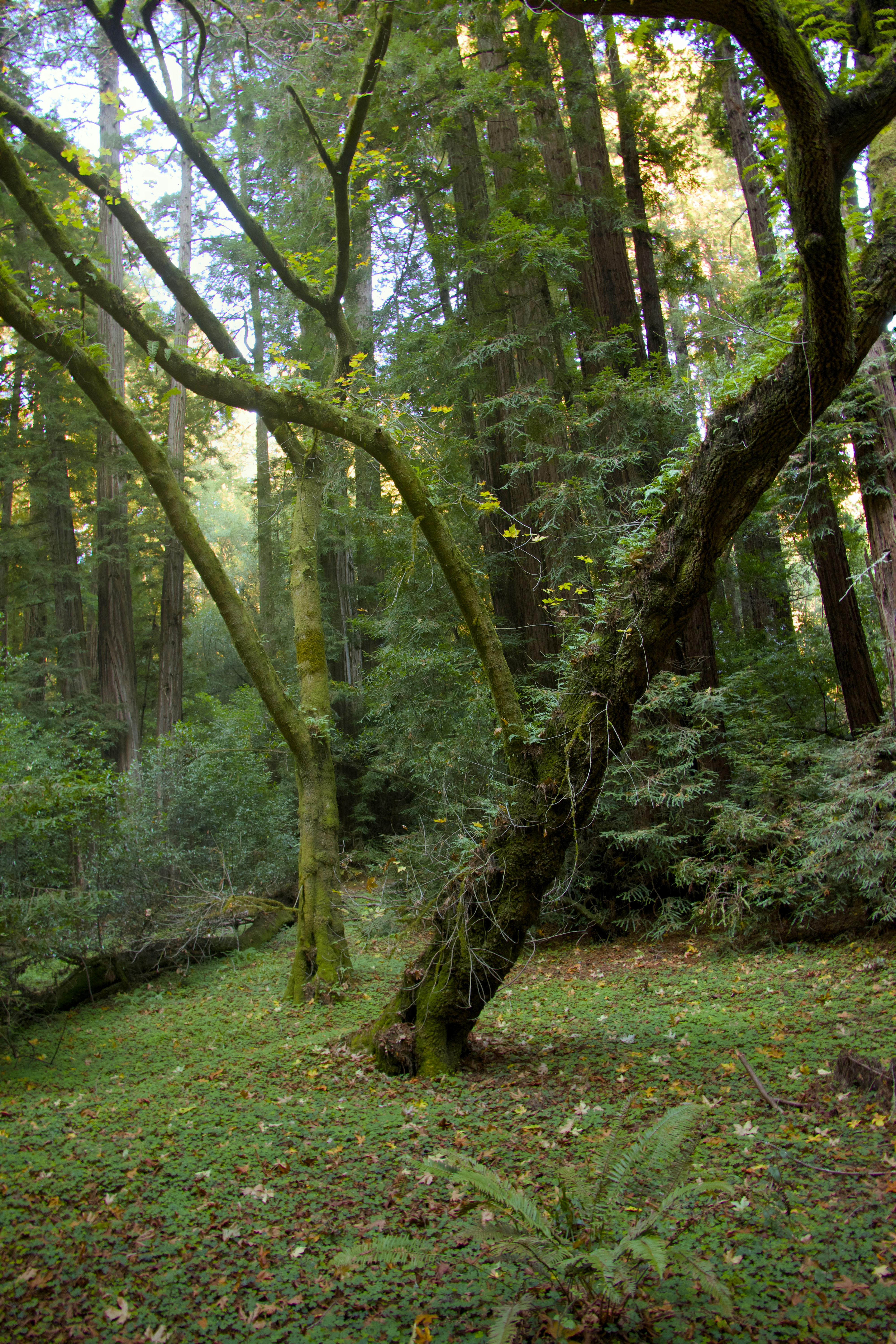 Photo by sarguninder