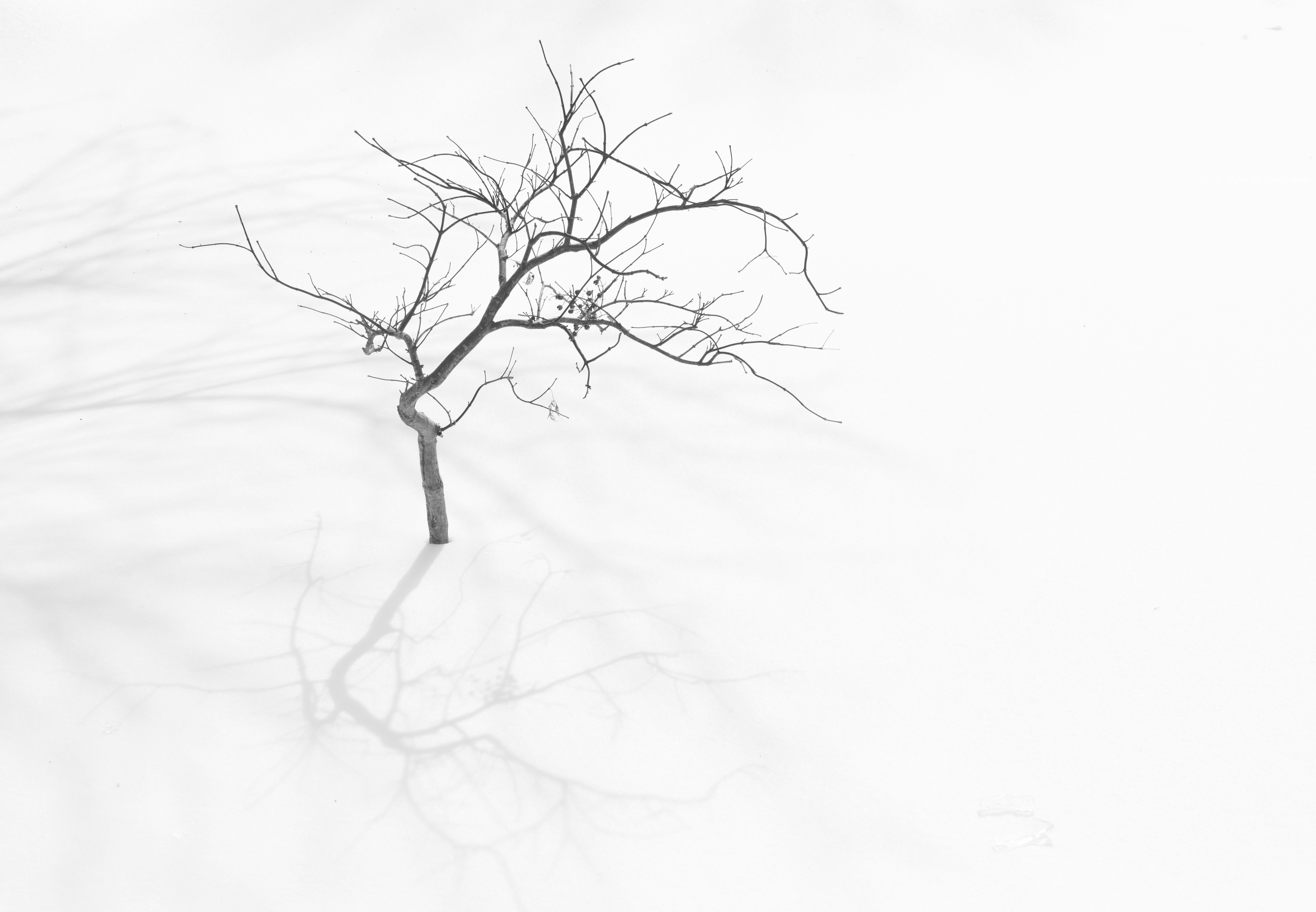 Photo by sriniunsplash