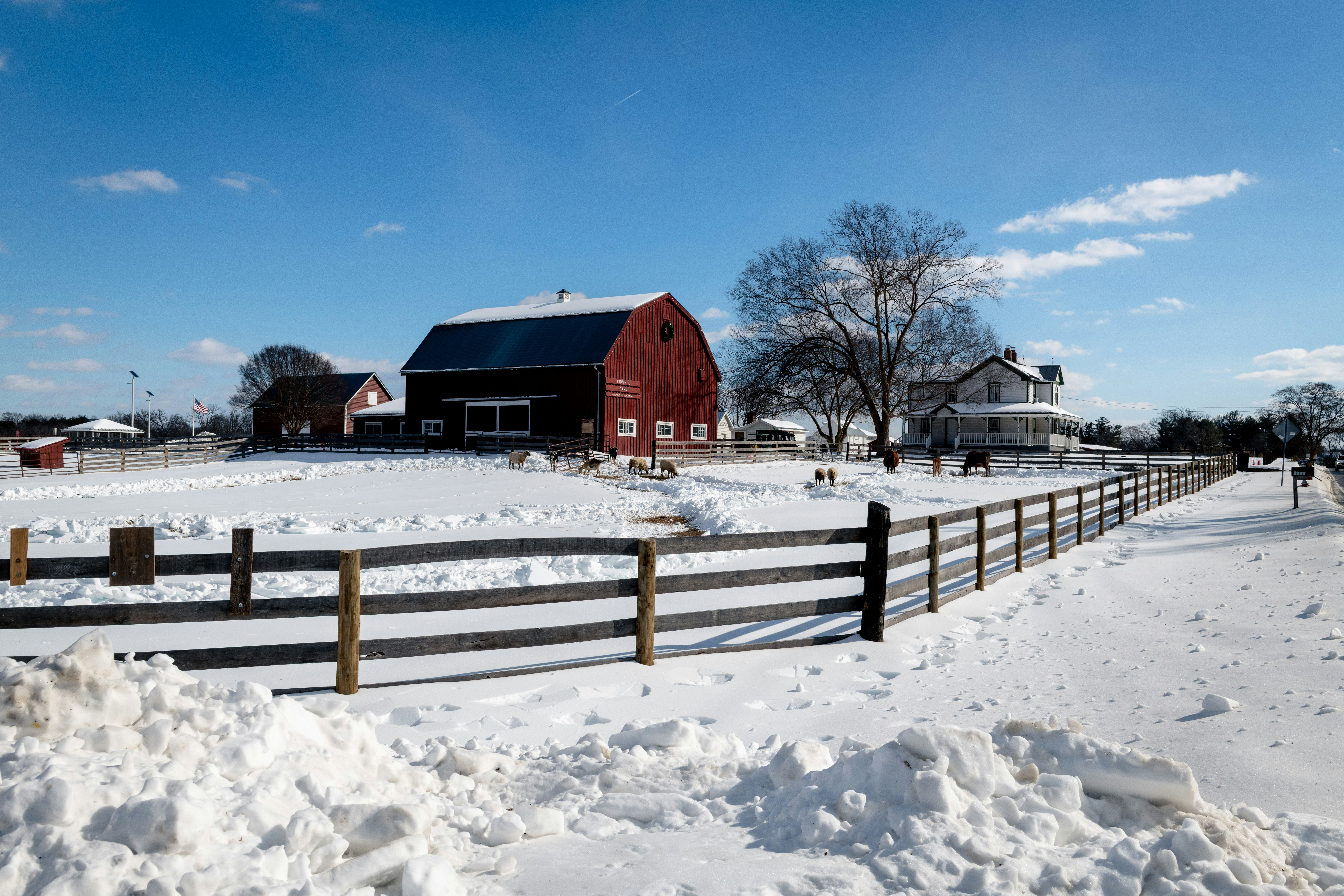 Photo by sriniunsplash