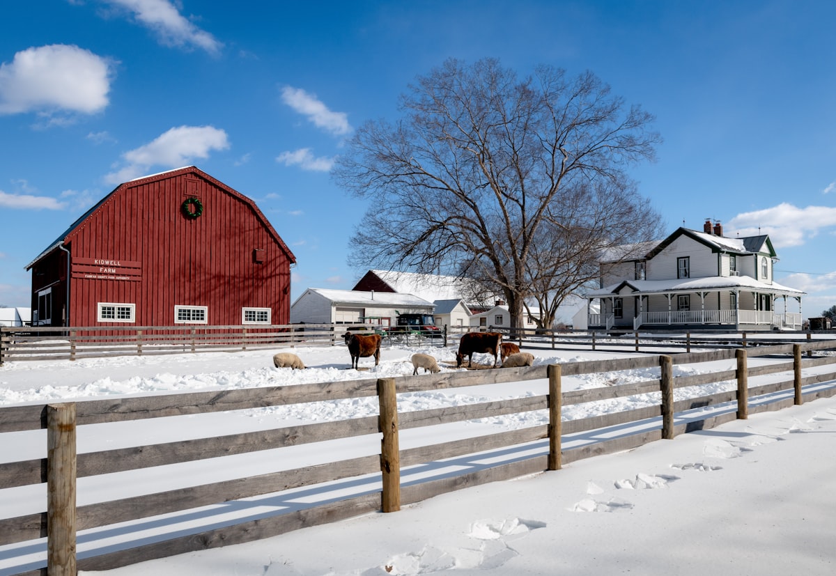 A red barn and farmhouse in a snowy winter landscape
