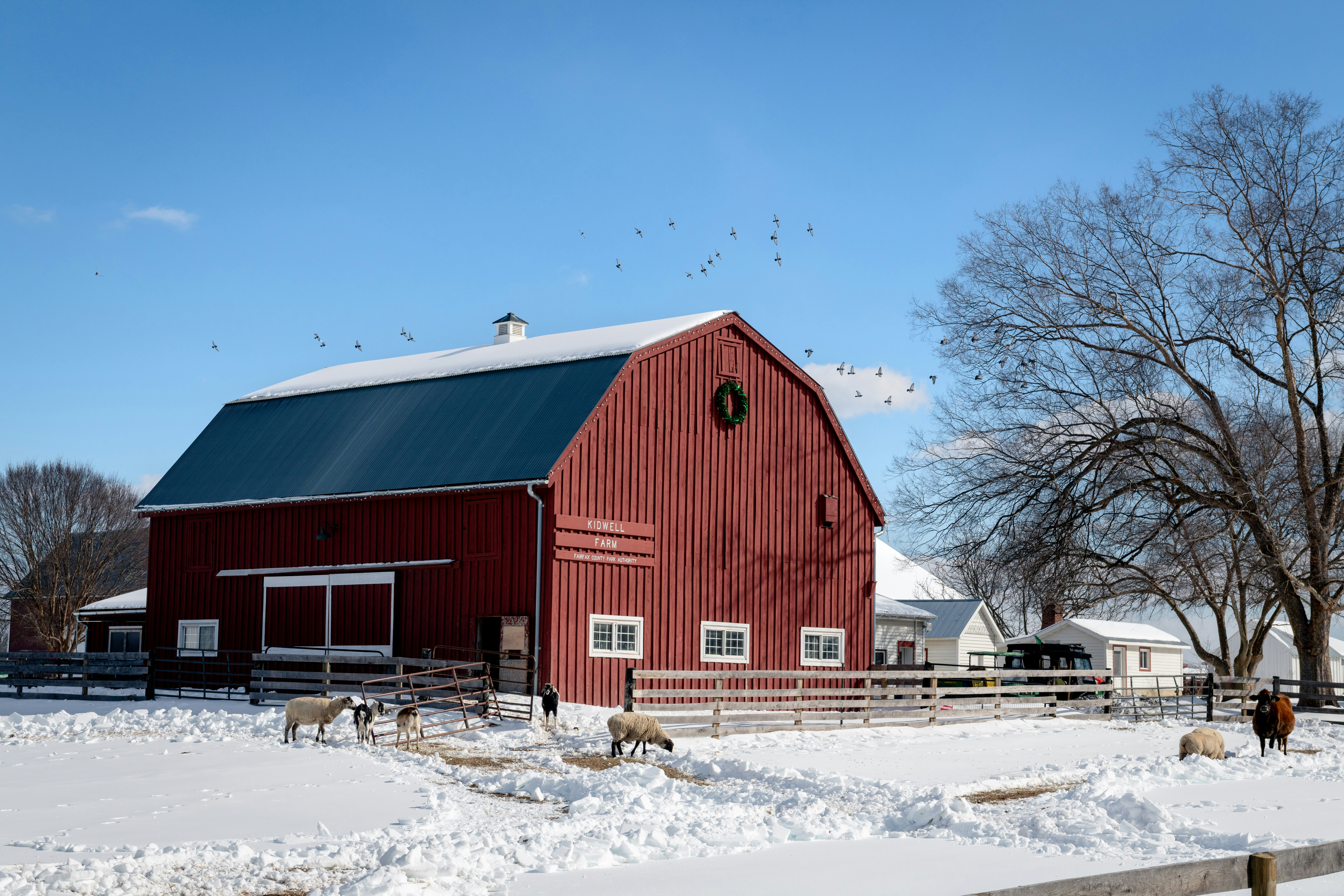 Photo by sriniunsplash