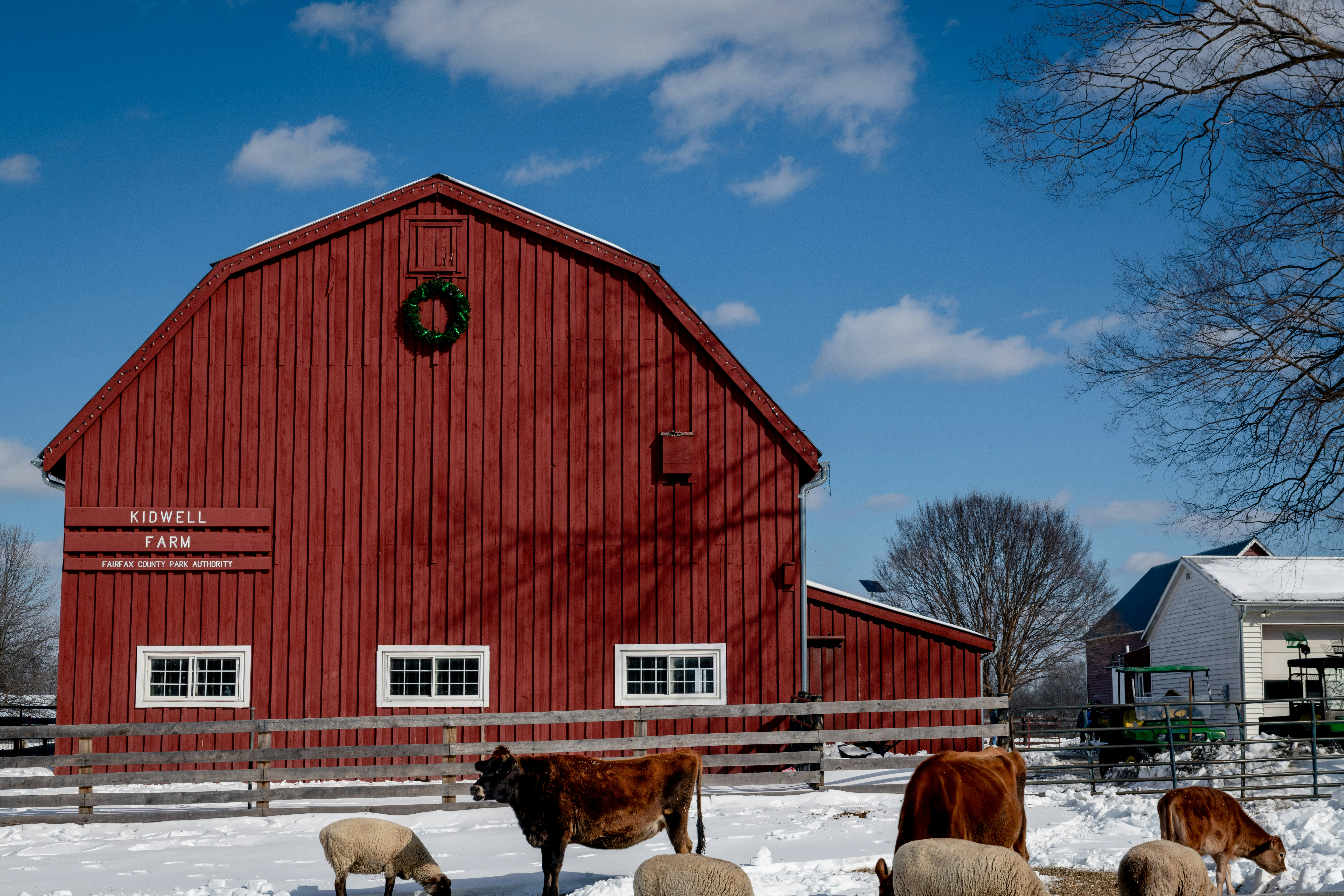 Photo by sriniunsplash