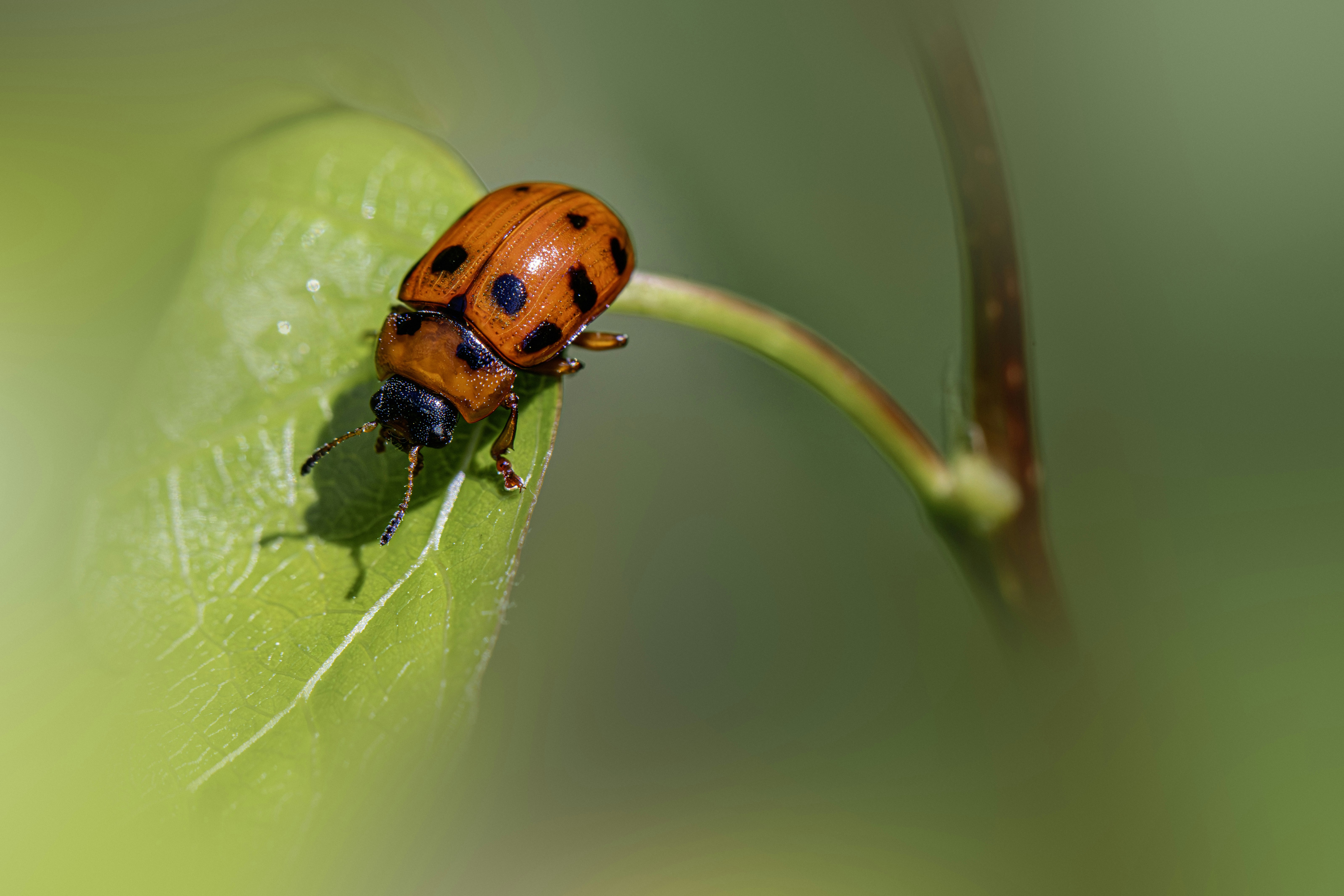 Photo by erik_karits