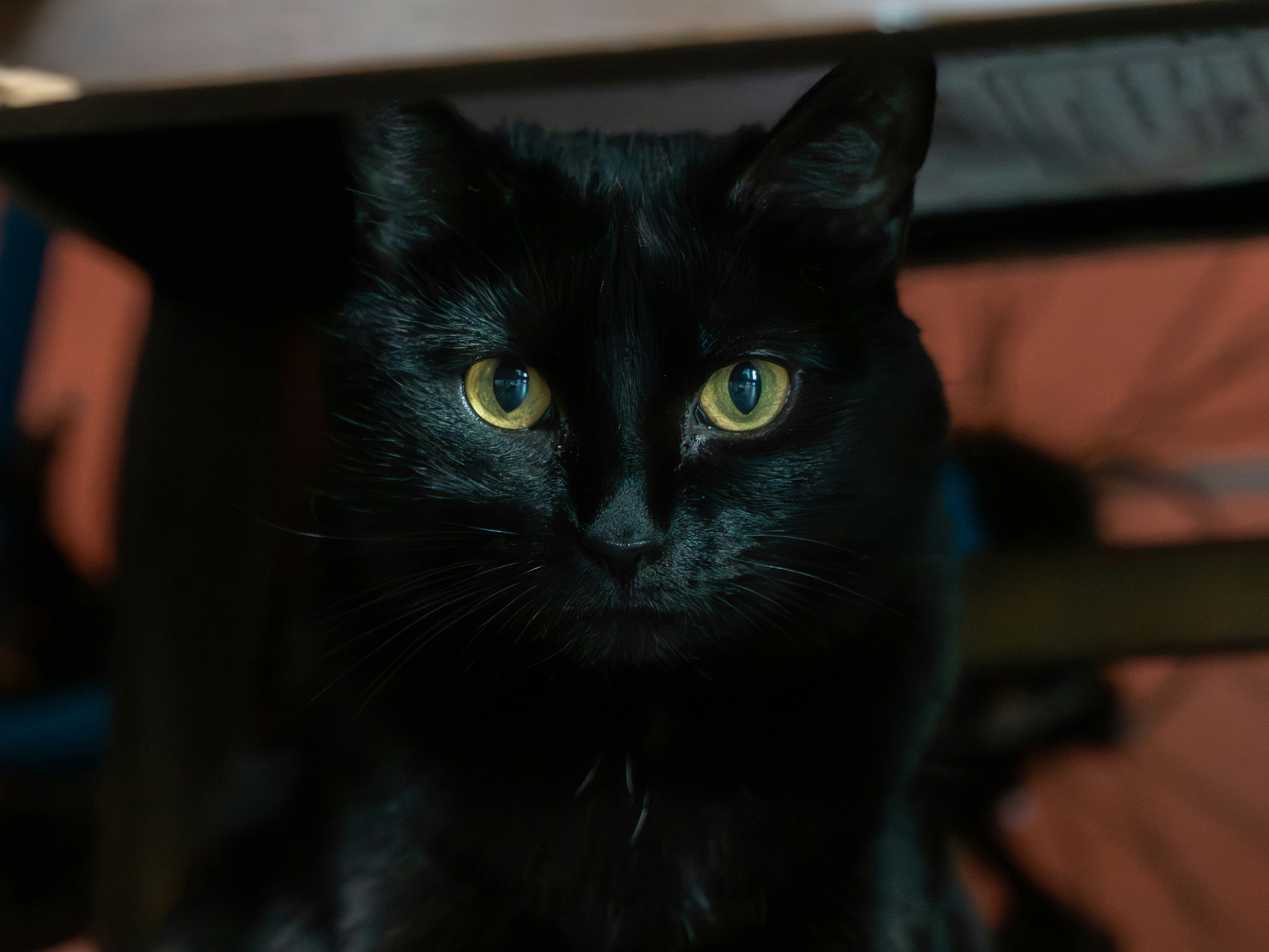 Photo by bokehblasts