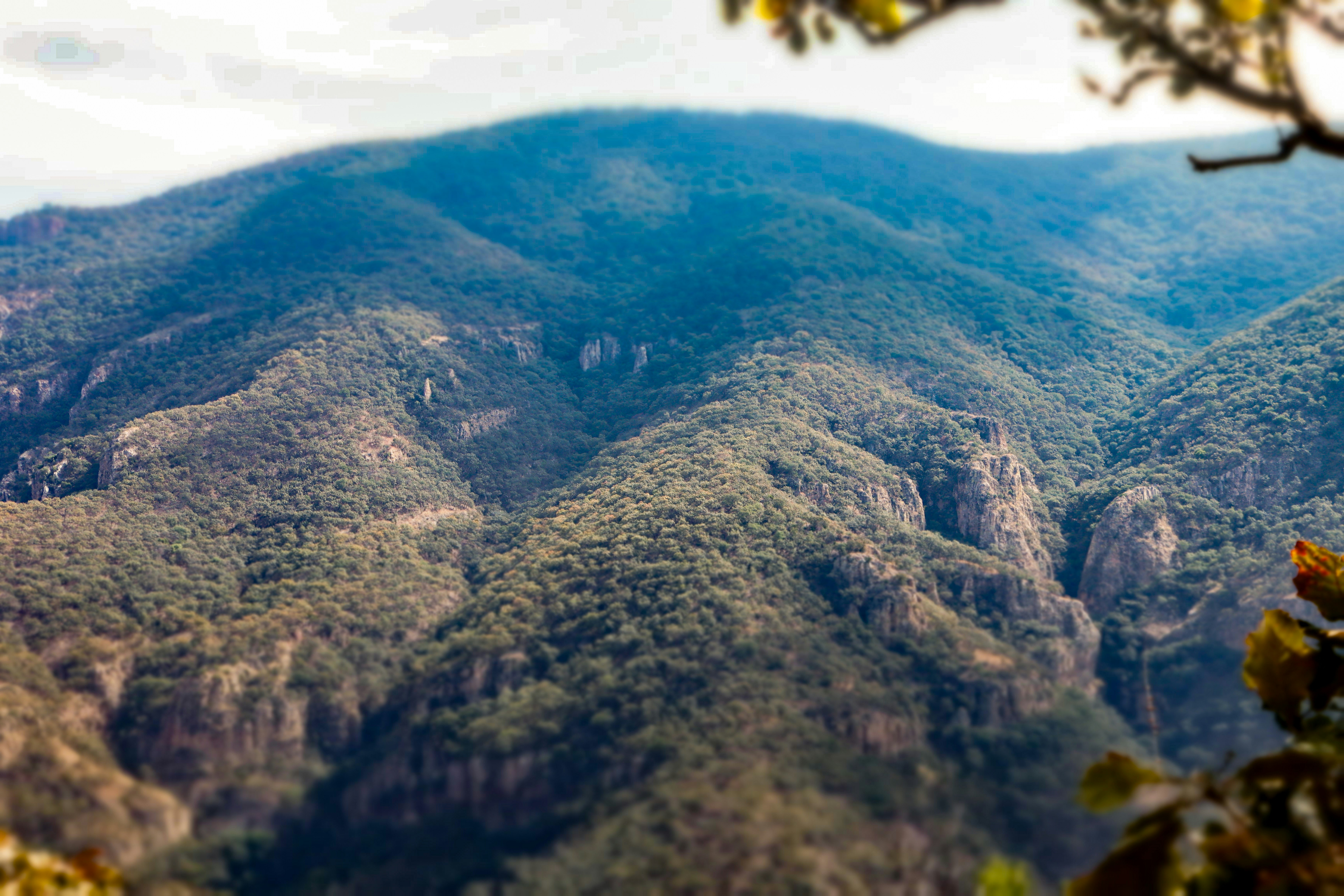 Photo by javier_flemate