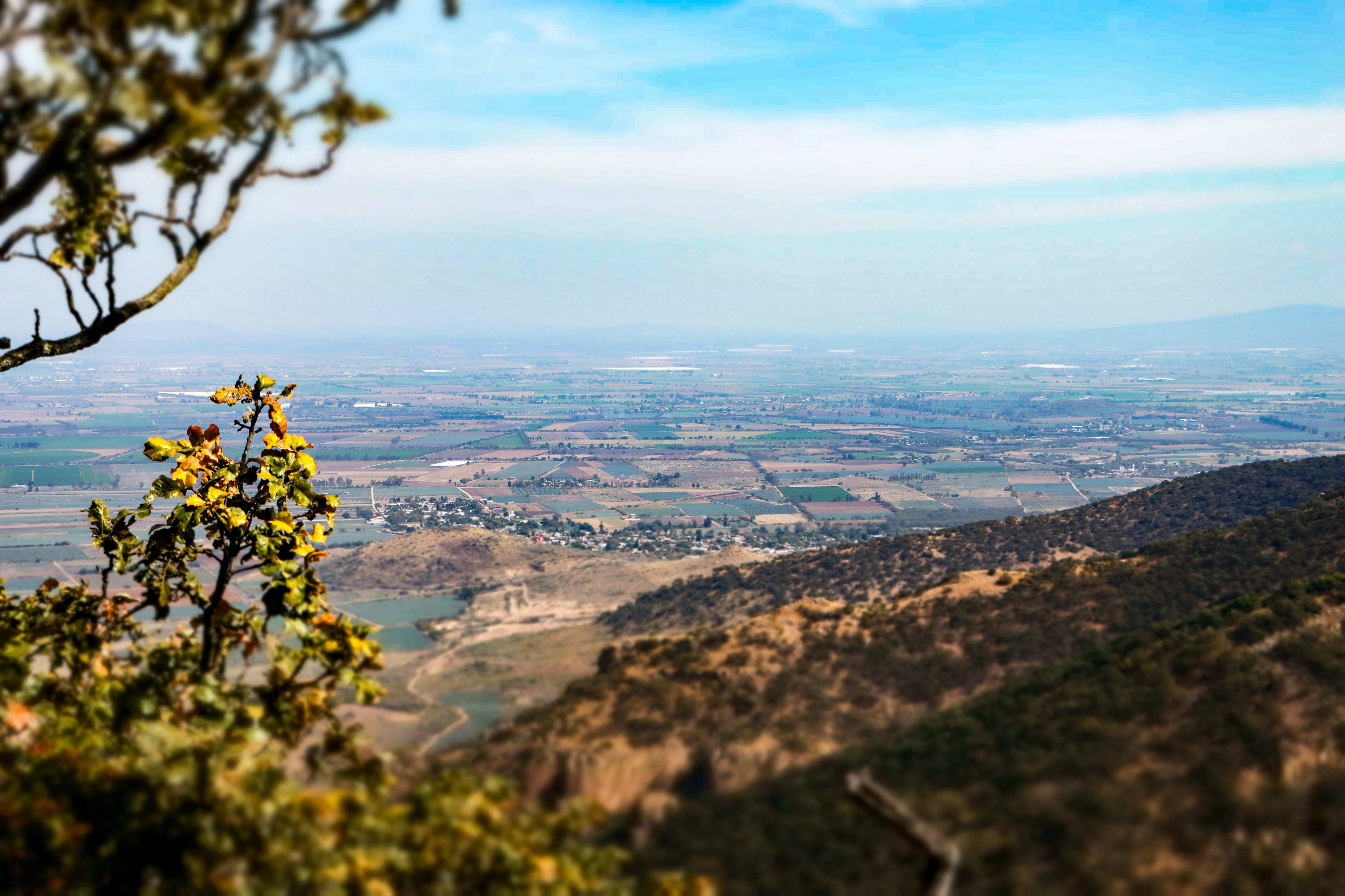 Photo by javier_flemate