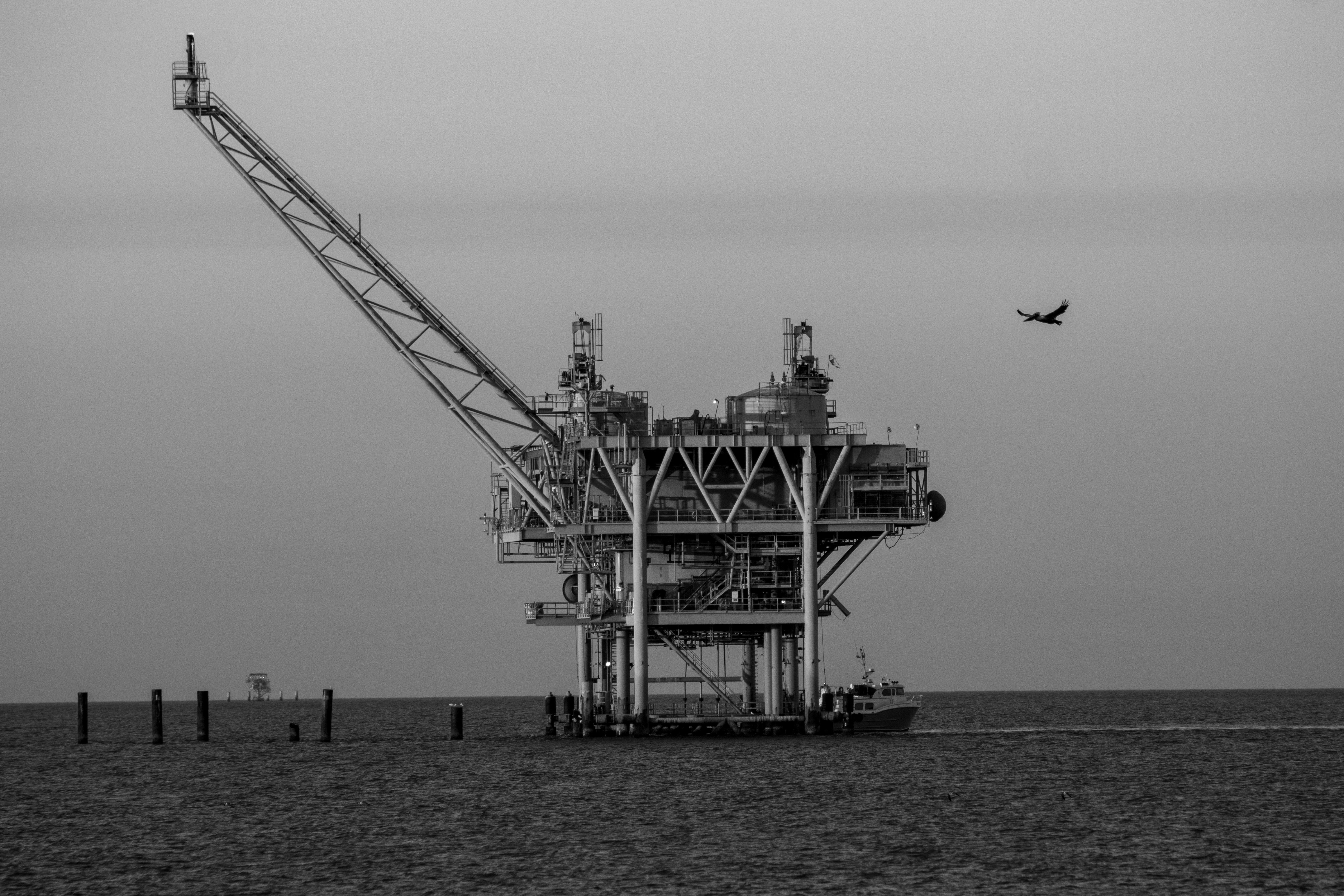 Photo by wilsonsharpshots