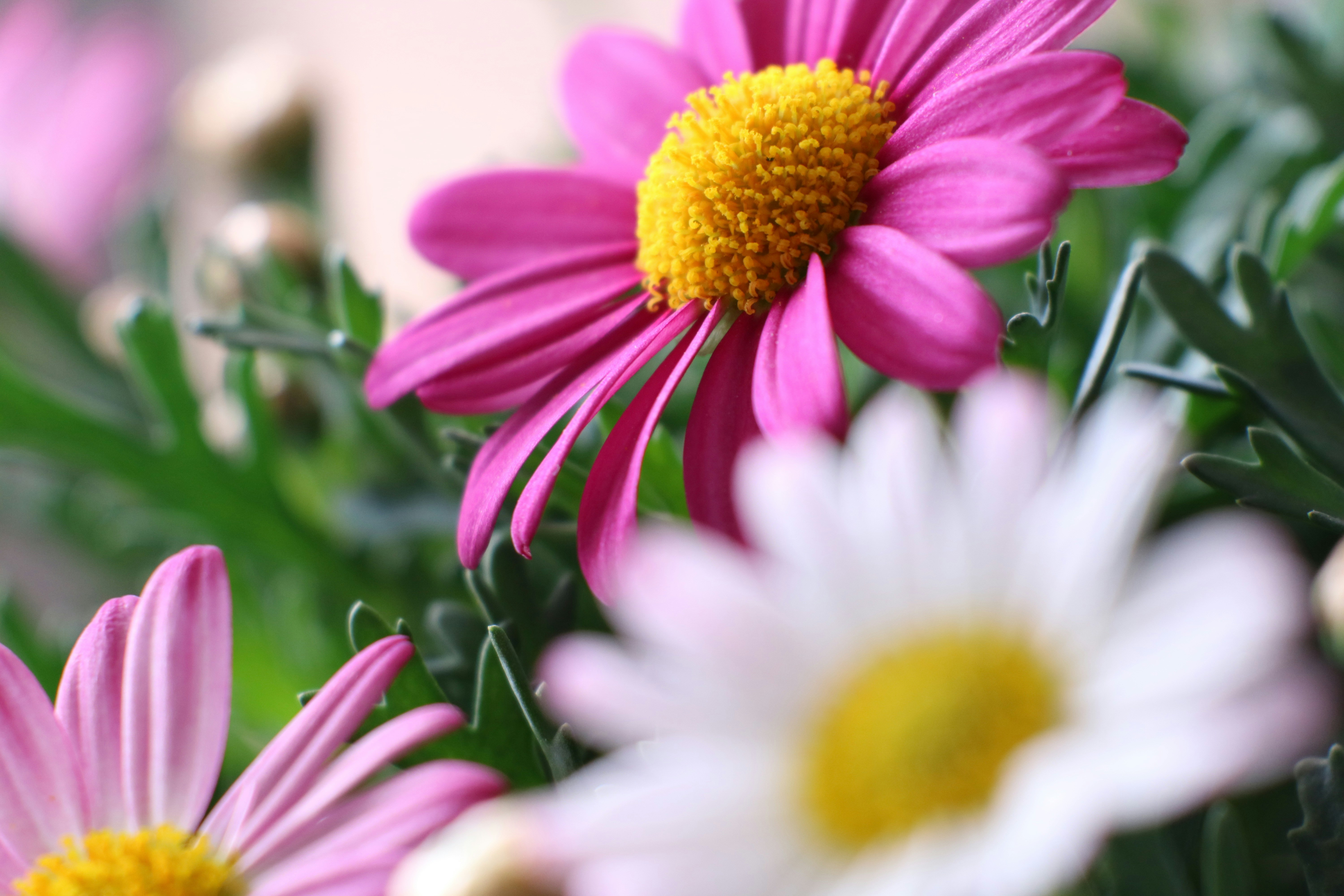 Photo by melvyn_photo