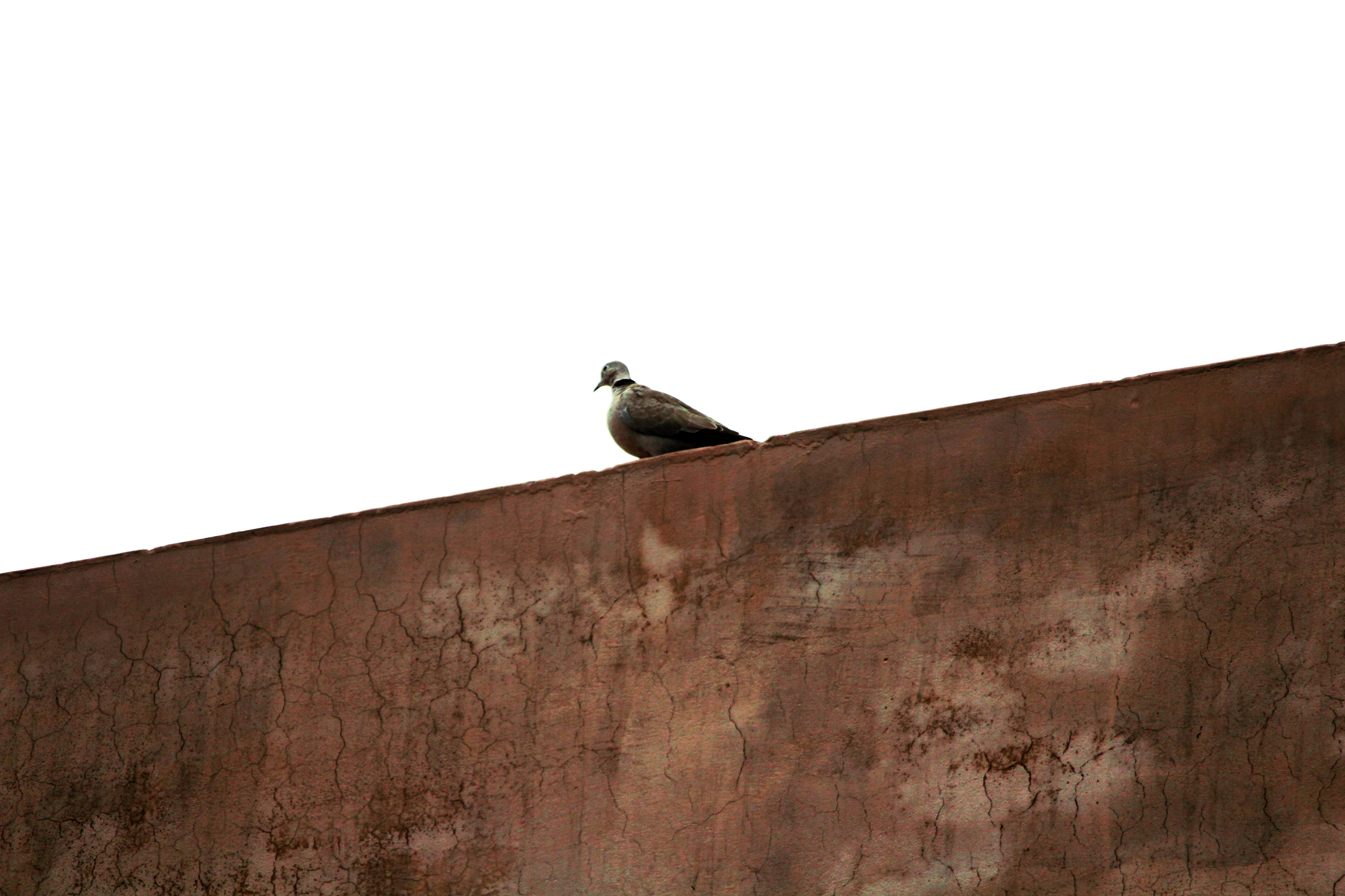 Photo by muhammad_shakir