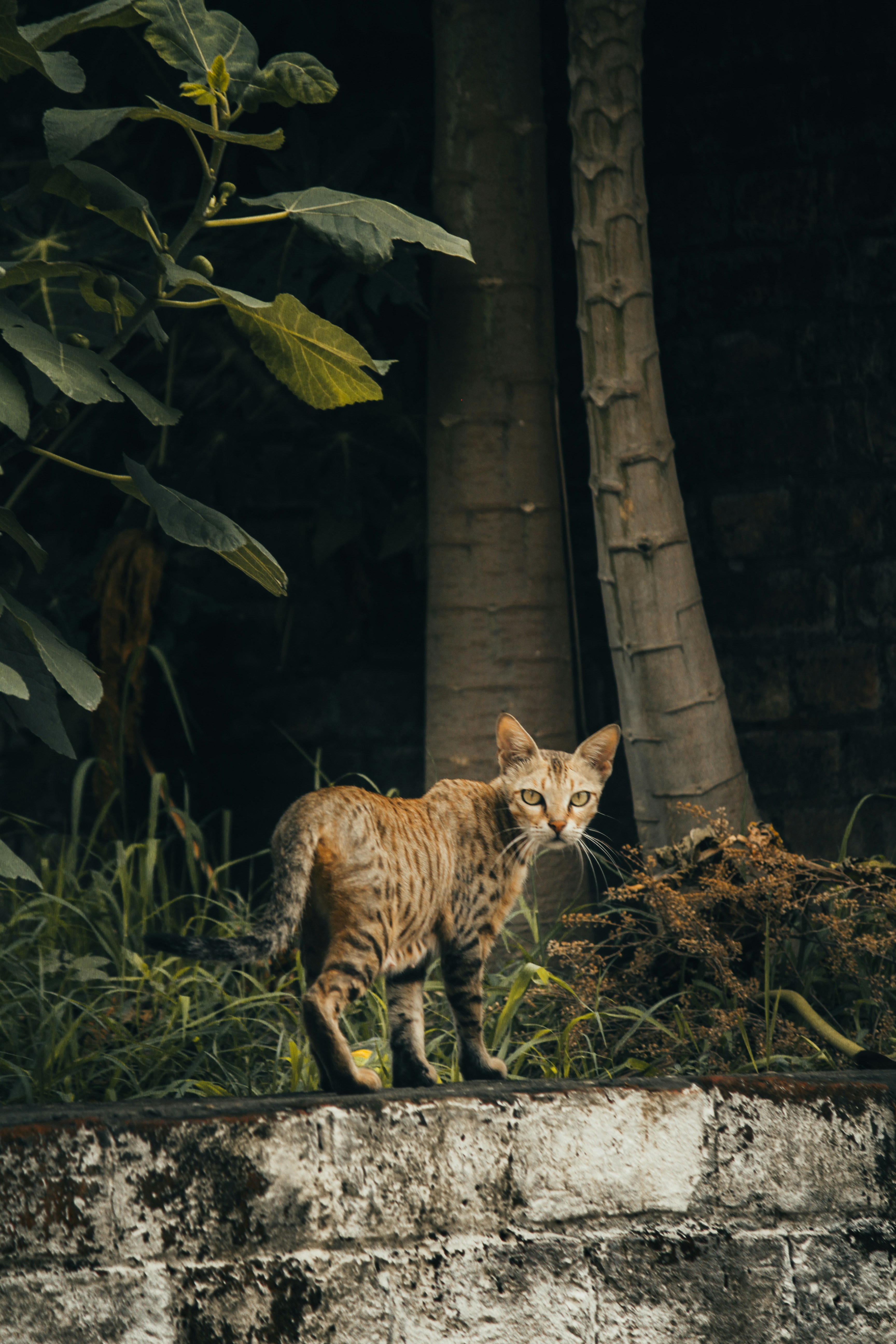 Photo by muhammad_shakir